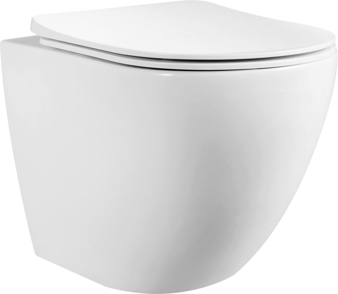 Primaster Wand-WC-Befestigung Primaster Wand WC spülrandlos Lota ...