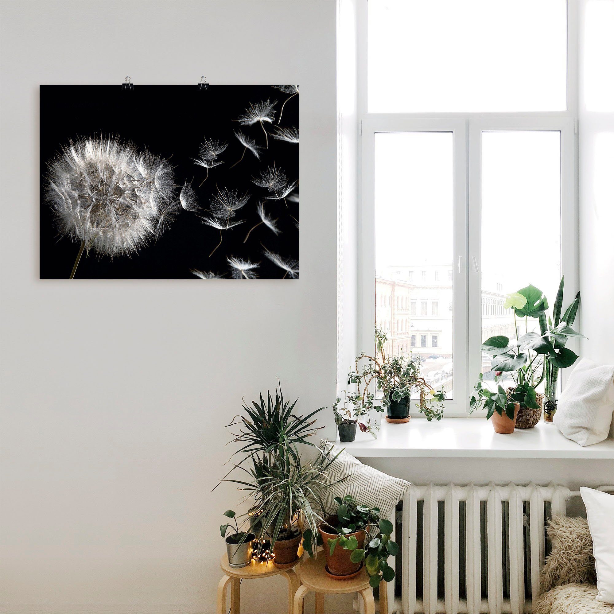 Artland Wandbild Pusteblume, Blumenbilder (1 St), als Leinwandbild, Poster in verschied. Größen