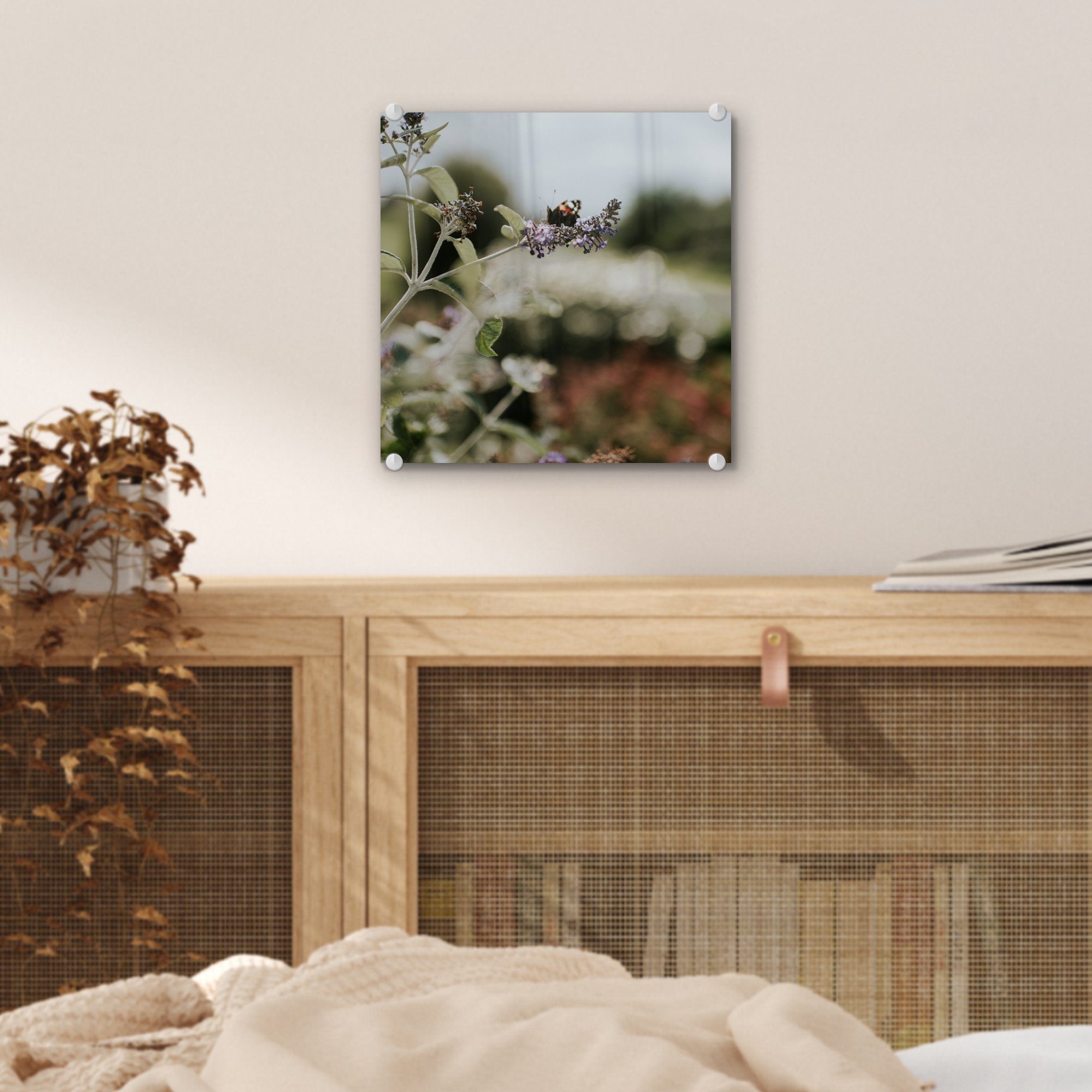 auf - St), Bilder auf - Foto Glasbilder Tagpfauenauge Wandbild Schmetterling (1 - Lavendel, auf Wanddekoration Acrylglasbild MuchoWow Glas Glas
