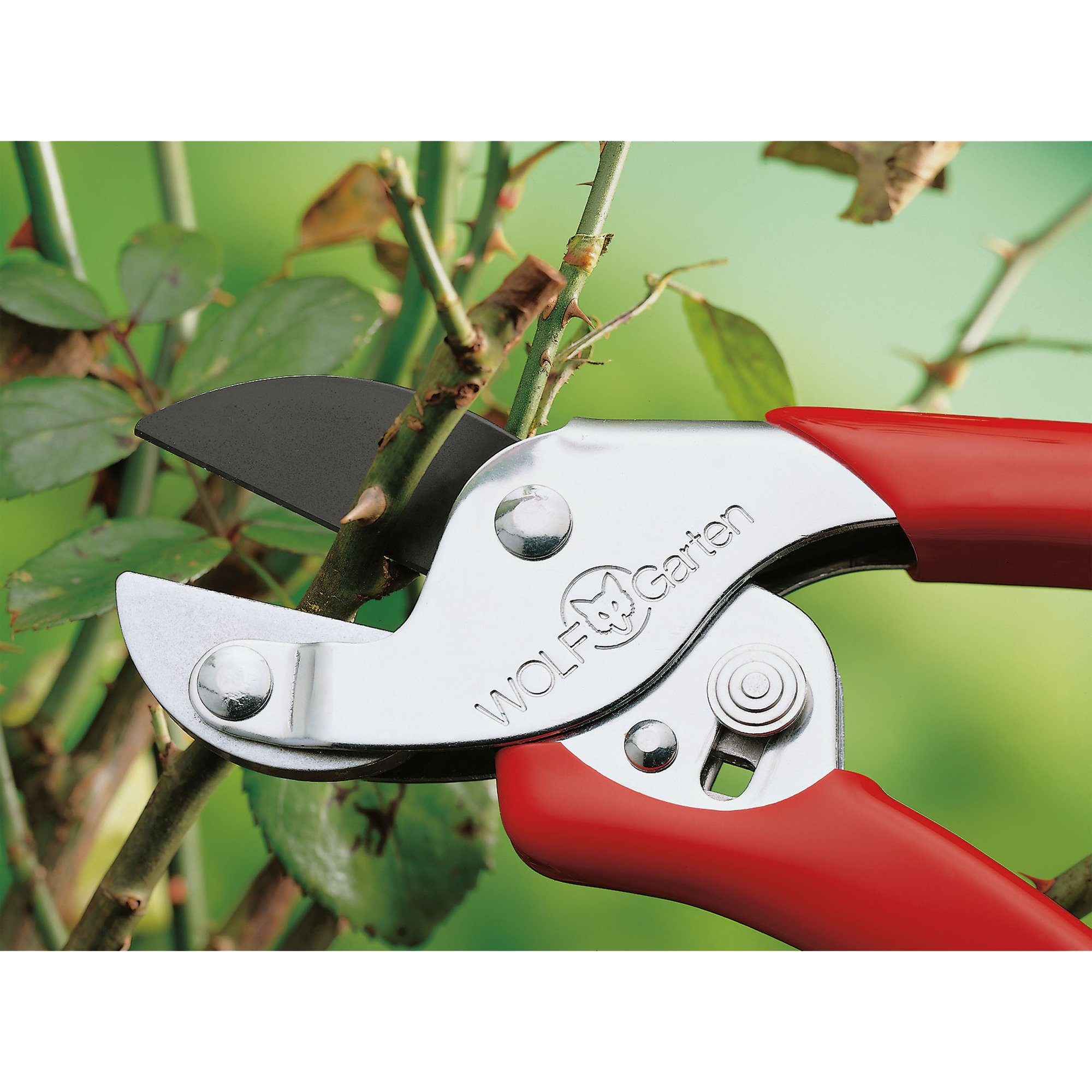 WOLF-Garten Gartenschere WOLF-Garten Amboss-Gartenschere Aktion RS-EN