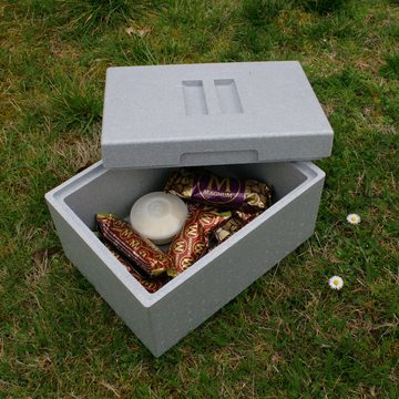 Climapor Kühlbox Climapor Transportbox klein, Volumen: 54,5 x 35 x 18 cm (16,5 Liter), 16 l