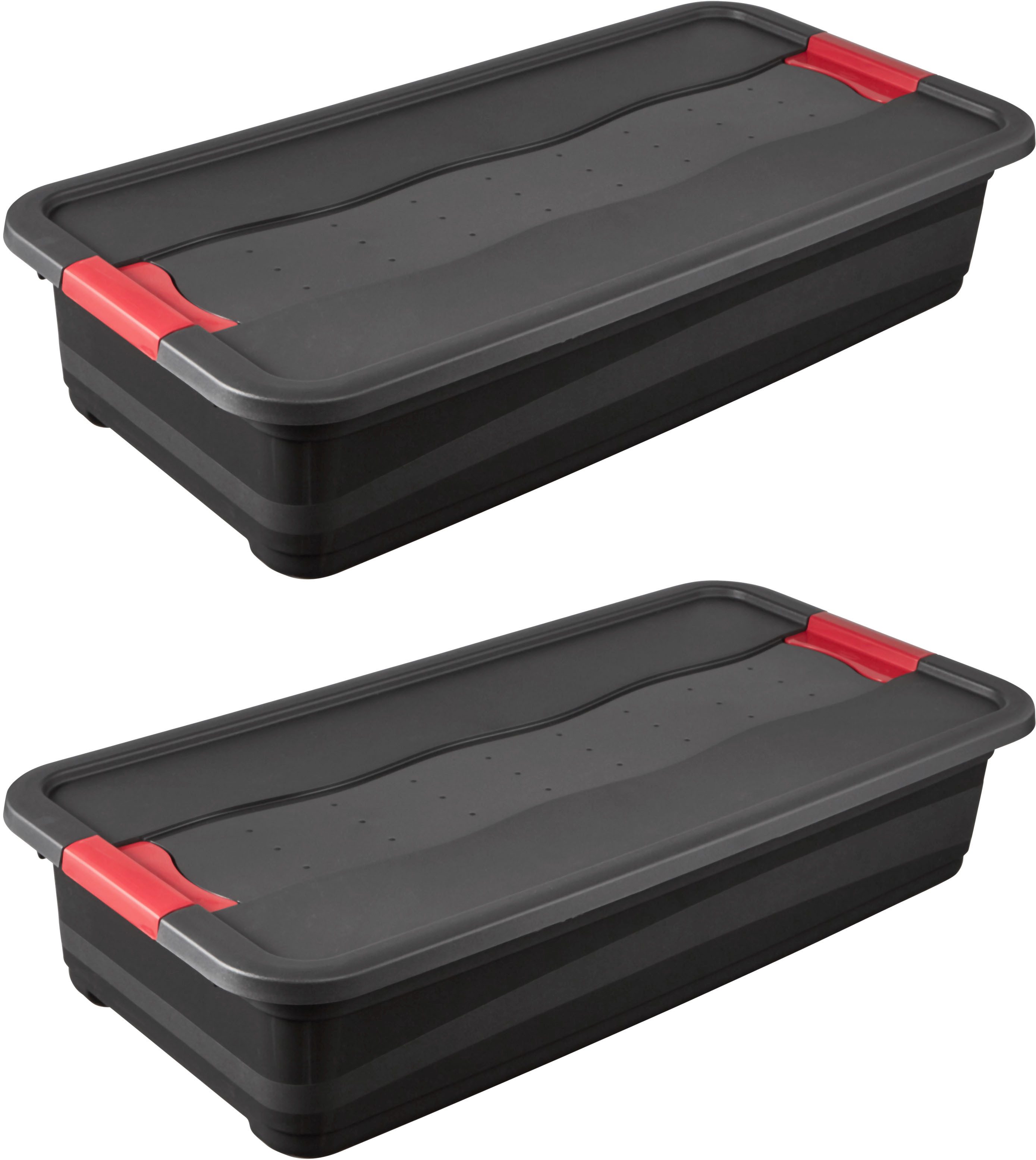 keeeper Transportbehälter eckhart, 2er Set Transporbox, 33 L, 79,5 x 39,5 x 17 cm, (Set, 2-St), seitl. Clips, Griffe am Boden, stoßfeste Seitenwände, robuster Deckel