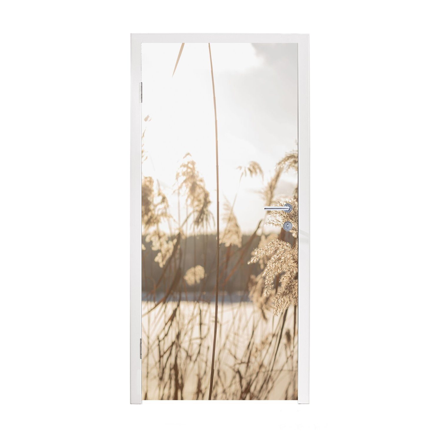 MuchoWow Türtapete Wasser - Pampasgras - Pflanzen, Matt, bedruckt, (1 St), Fototapete für Tür, Türaufkleber, 75x205 cm