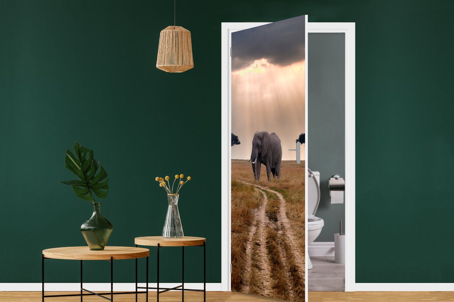Tür, Türaufkleber, Tiere cm Fototapete Matt, MuchoWow Sonne, St), - bedruckt, - Elefant Wiese (1 - Türtapete 75x205 für