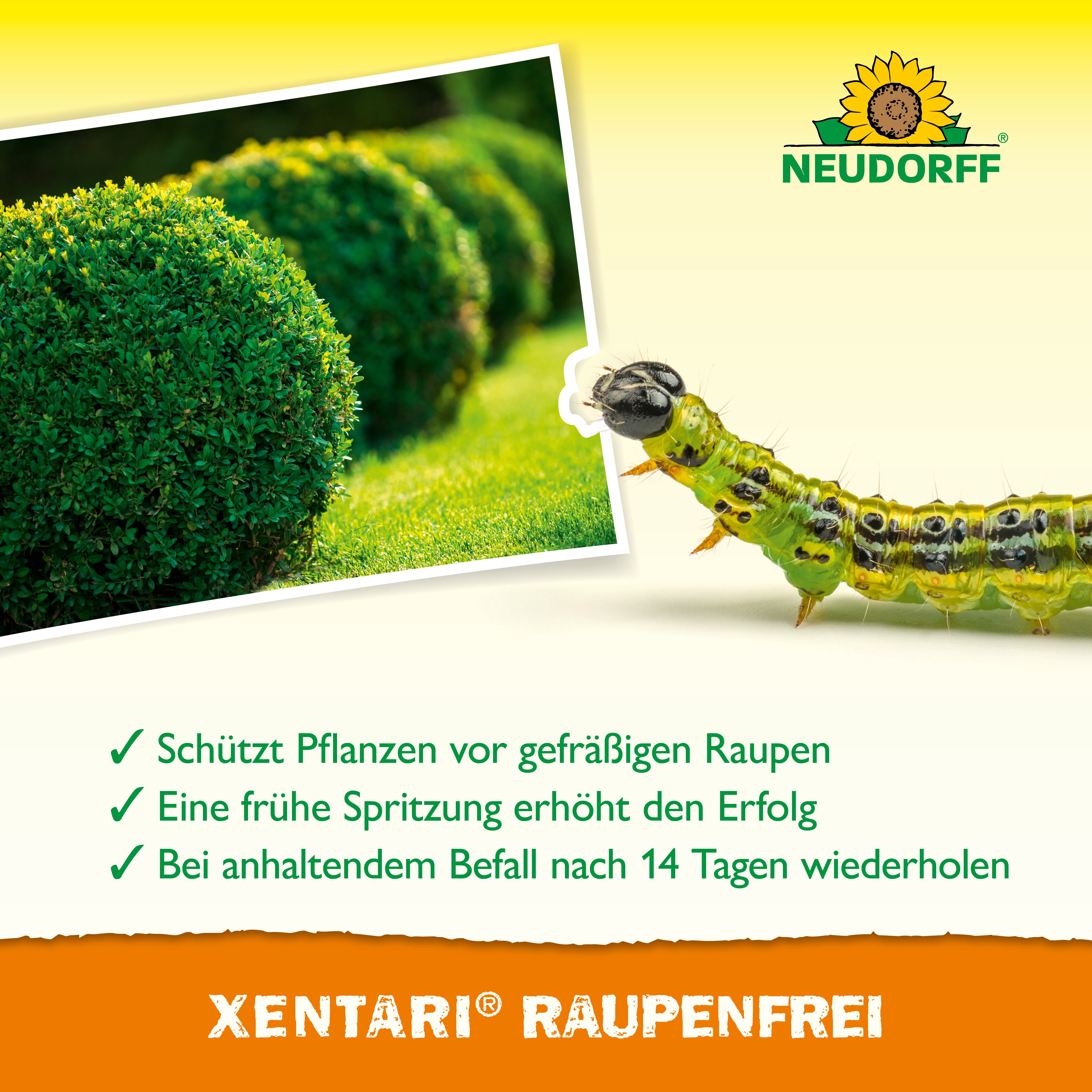 Neudorff Insektenspray Xentari Raupenfrei, 6 g, Biologisches Insektizid gegen Buchsbaumzünsler und Gespinstmotten – Bild 4 von 5