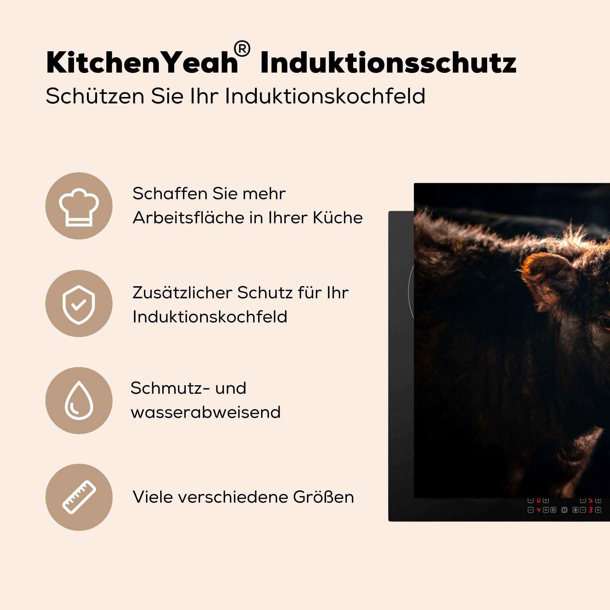 Herdblende-/Abdeckplatte Ceranfeldabdeckung - Induktionskochfeld cm, 81x52 Schutz MuchoWow - Vinyl, Braun, die Schwarz Kühe (1 tlg), für küche,