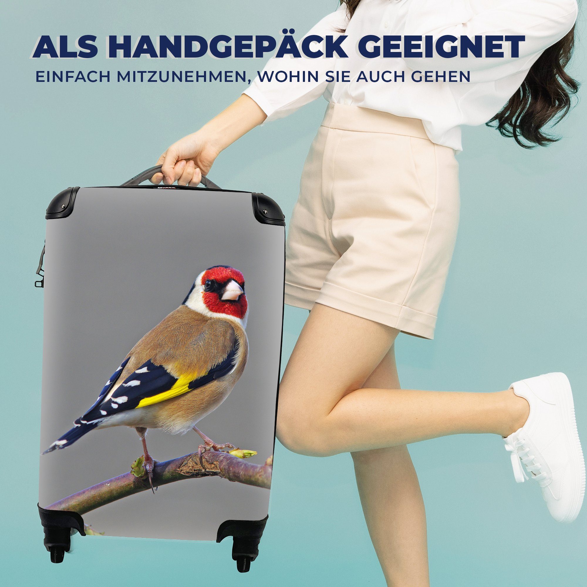 Handgepäck mit direkt Putter für Rollen, die Ferien, in 4 schaut Reisekoffer Kamera, rollen, MuchoWow Reisetasche Ein Trolley, Handgepäckkoffer