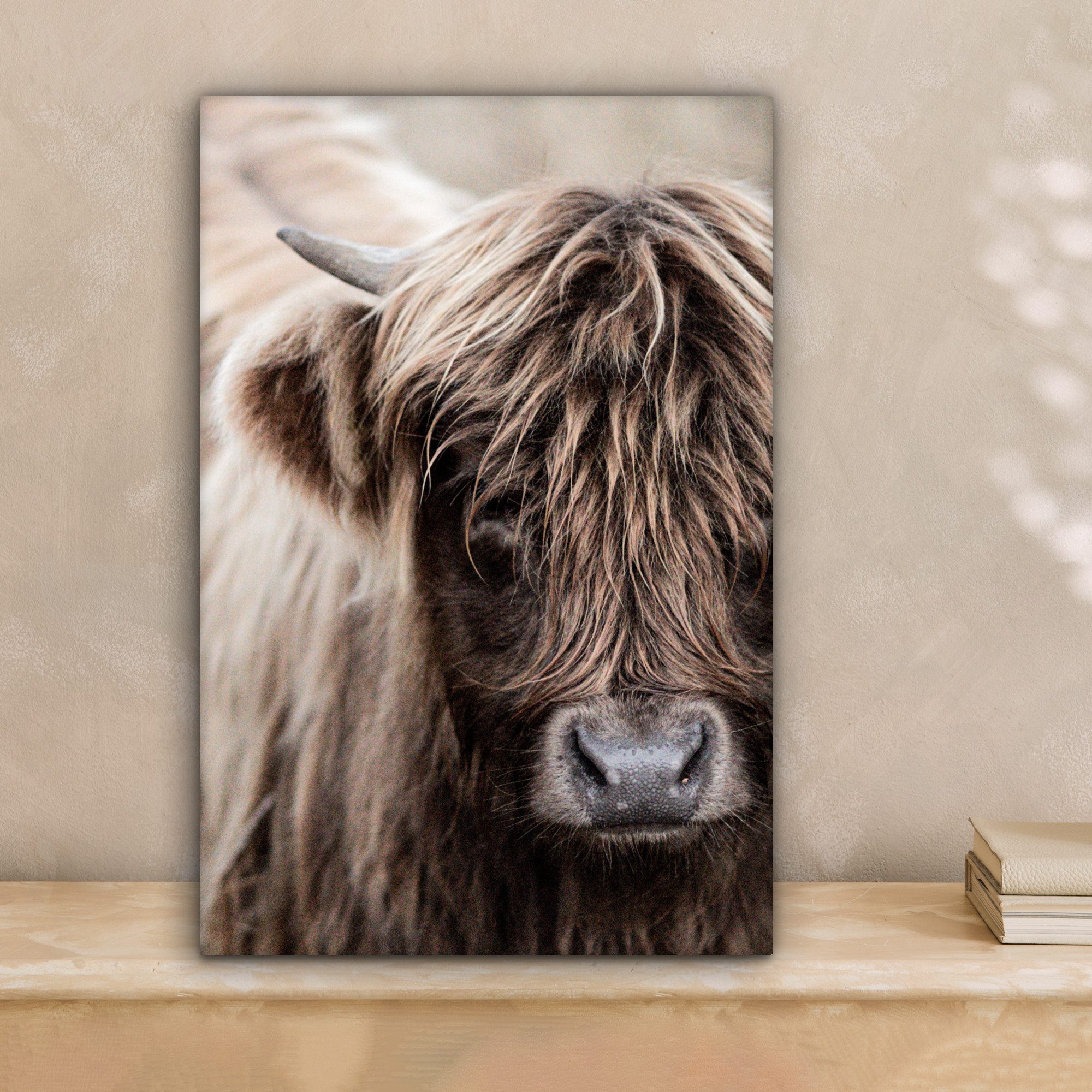 OneMillionCanvasses® Leinwandbild Schottischer Highlander - Tiere günstig online kaufen