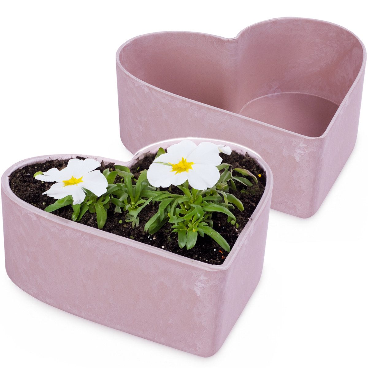 matches21 HOME & HOBBY Blumentopf Herz günstig online kaufen