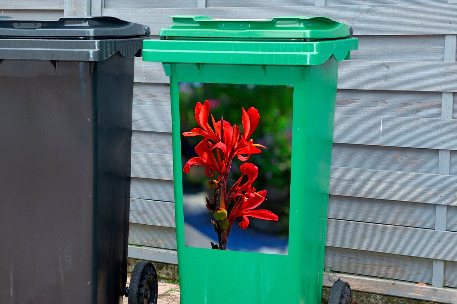 Eine Canna-Blüte Abfalbehälter rote Mülleimer-aufkleber, St), leuchtend Sticker, Mülltonne, Wandsticker Container, (1 MuchoWow