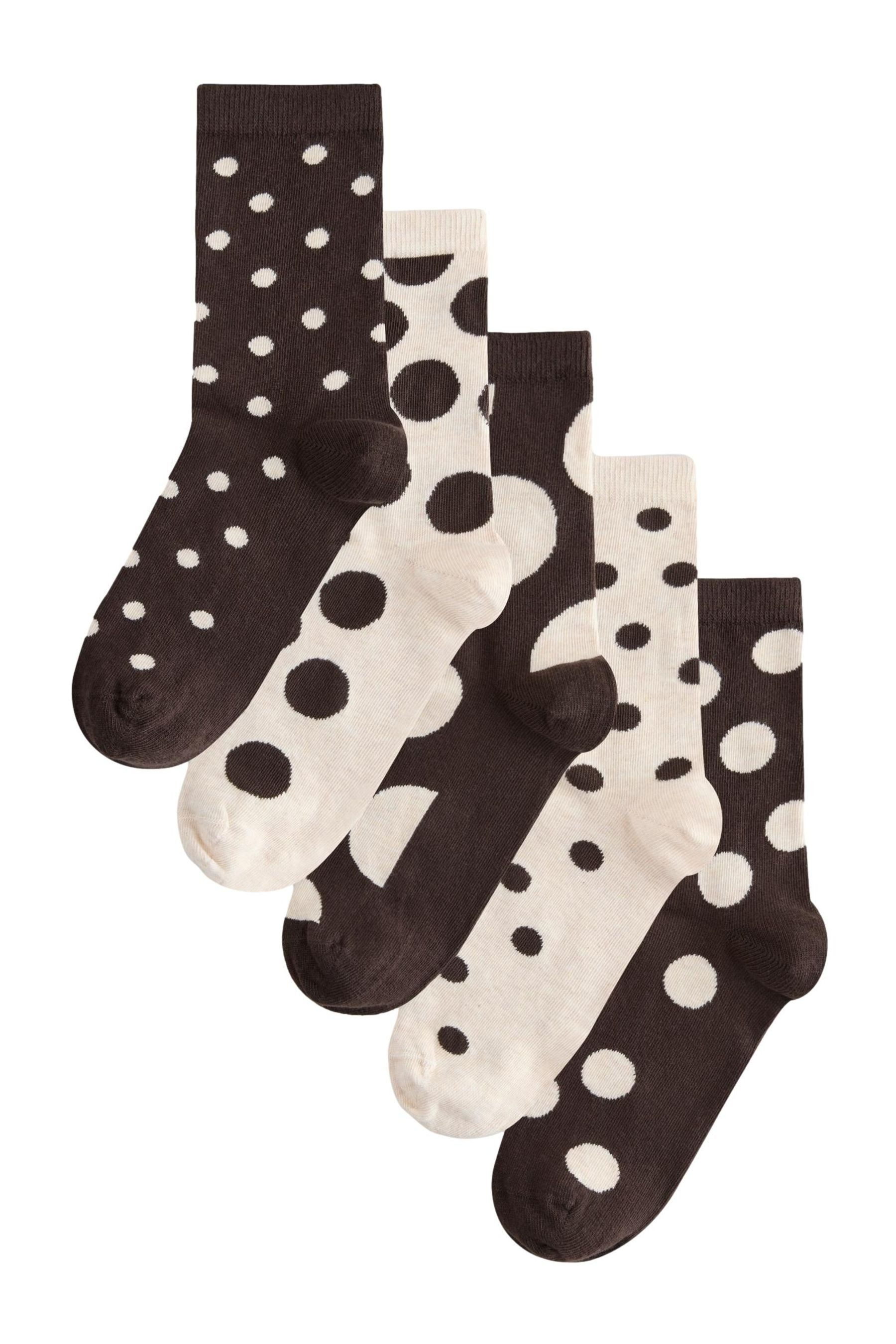 Chocolate Brown/White Spot