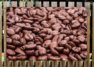 Wallario Sichtschutzzaunmatten Frisch geröstete Kaffeebohnen