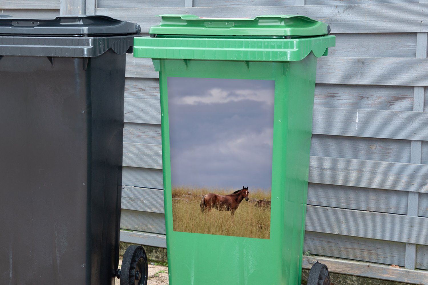 - Abfalbehälter - MuchoWow Pferd Mülltonne, Wandsticker Sticker, Container, Gras Mülleimer-aufkleber, St), Criollo (1