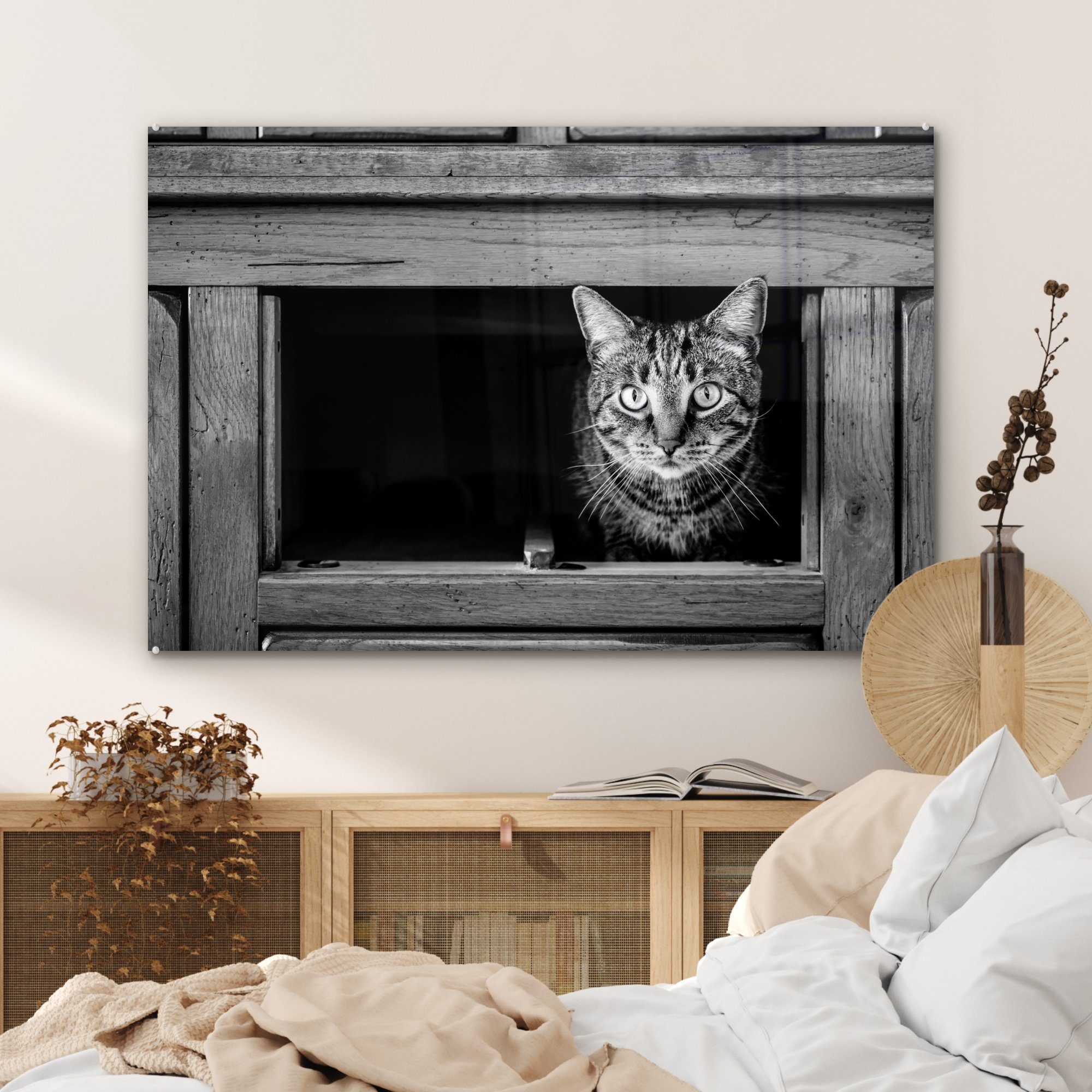 MuchoWow Acrylglasbild Wohnzimmer Schrank, Katze Acrylglasbilder dem kommt St), aus (1 Schlafzimmer &