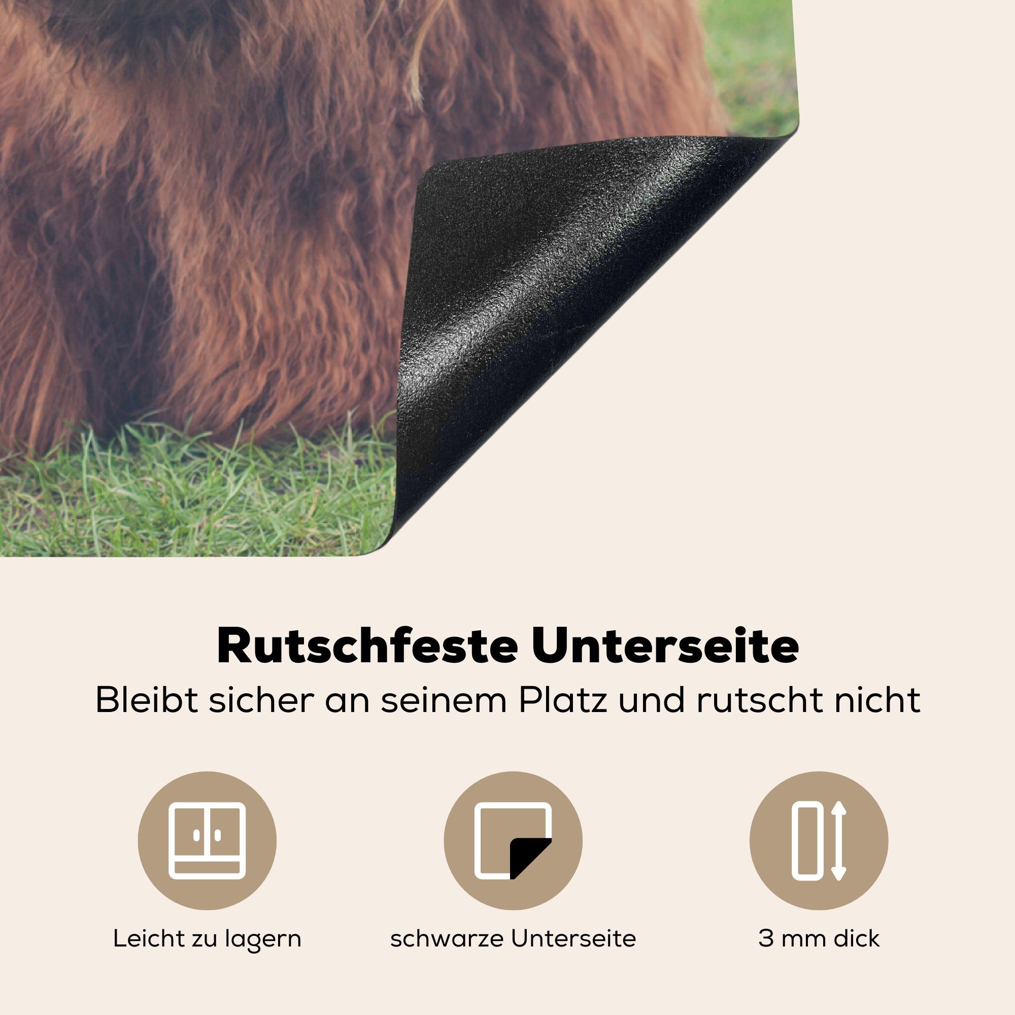 Ceranfeldabdeckung, 78x78 tlg), Landschaft, für MuchoWow Schottischer - cm, (1 Vinyl, Arbeitsplatte - Kuh küche Herdblende-/Abdeckplatte Highlander