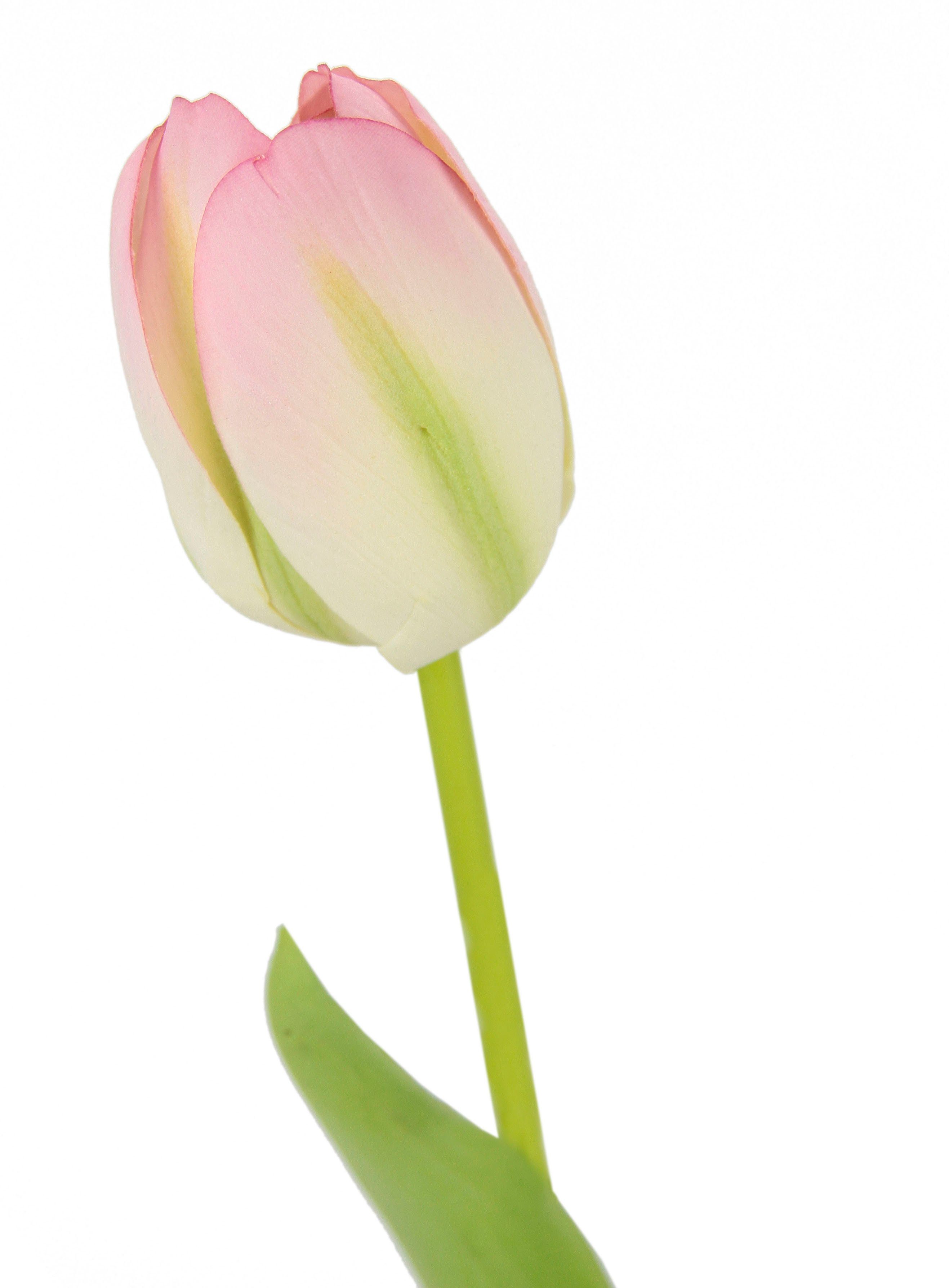 weiß/rosa 5er 67 I.GE.A., Tulpenknospen, Set künstliche Touch Real cm, Kunstblumen, Kunstblume Höhe Stielblume Tulpen,