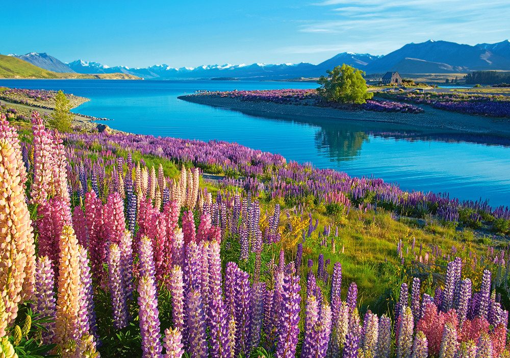 Castorland Puzzle Lake Tekapo, Neuseeland, Puzzleteile günstig online kaufen