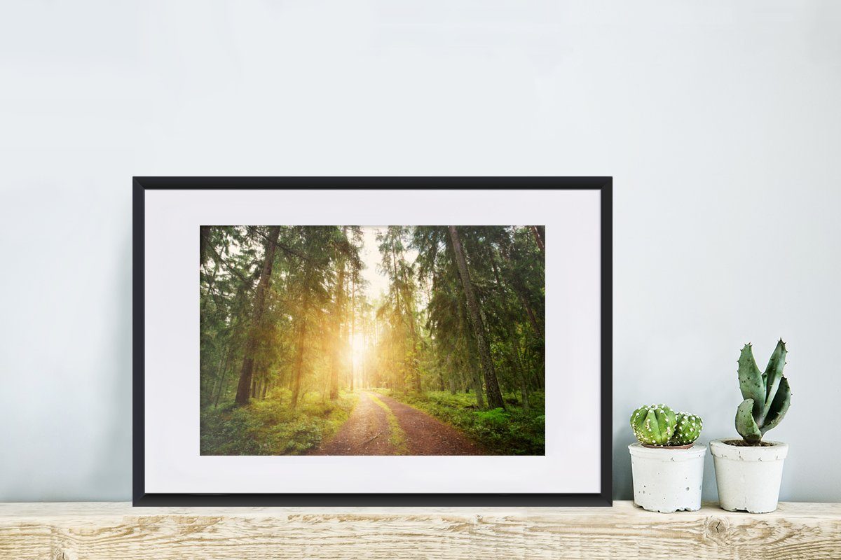 Gerahmtes Sonne, Poster, mit - - MuchoWow Wald St), Poster Schwarzem Kunstdruck, Baum (1 Bilderrahmen Rahmen,
