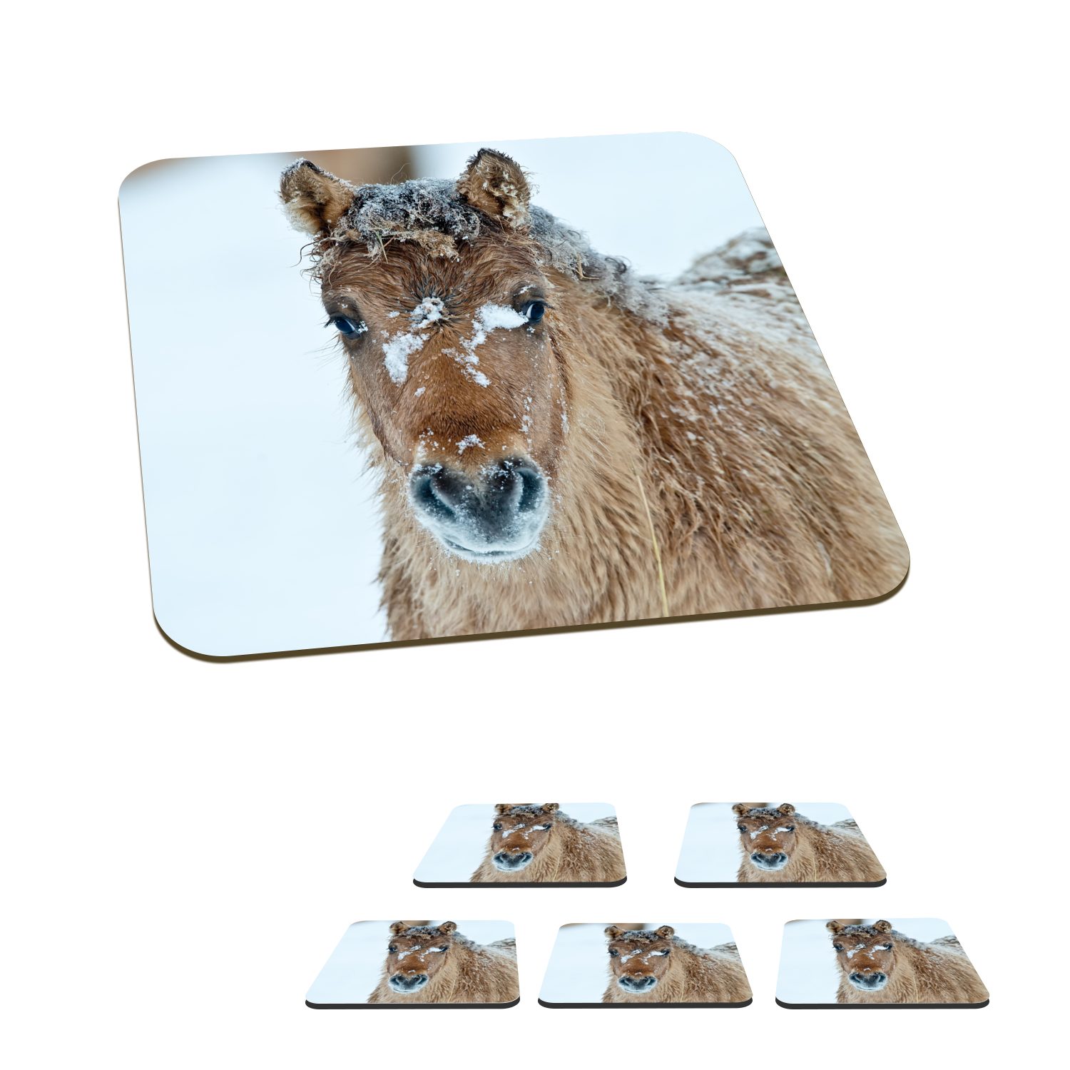 MuchoWow Glasuntersetzer Junges Fjordpferd mit Schnee bedeckt, Zubehör für Gläser, 6-tlg., Glasuntersetzer, Tischuntersetzer, Korkuntersetzer, Untersetzer, Tasse