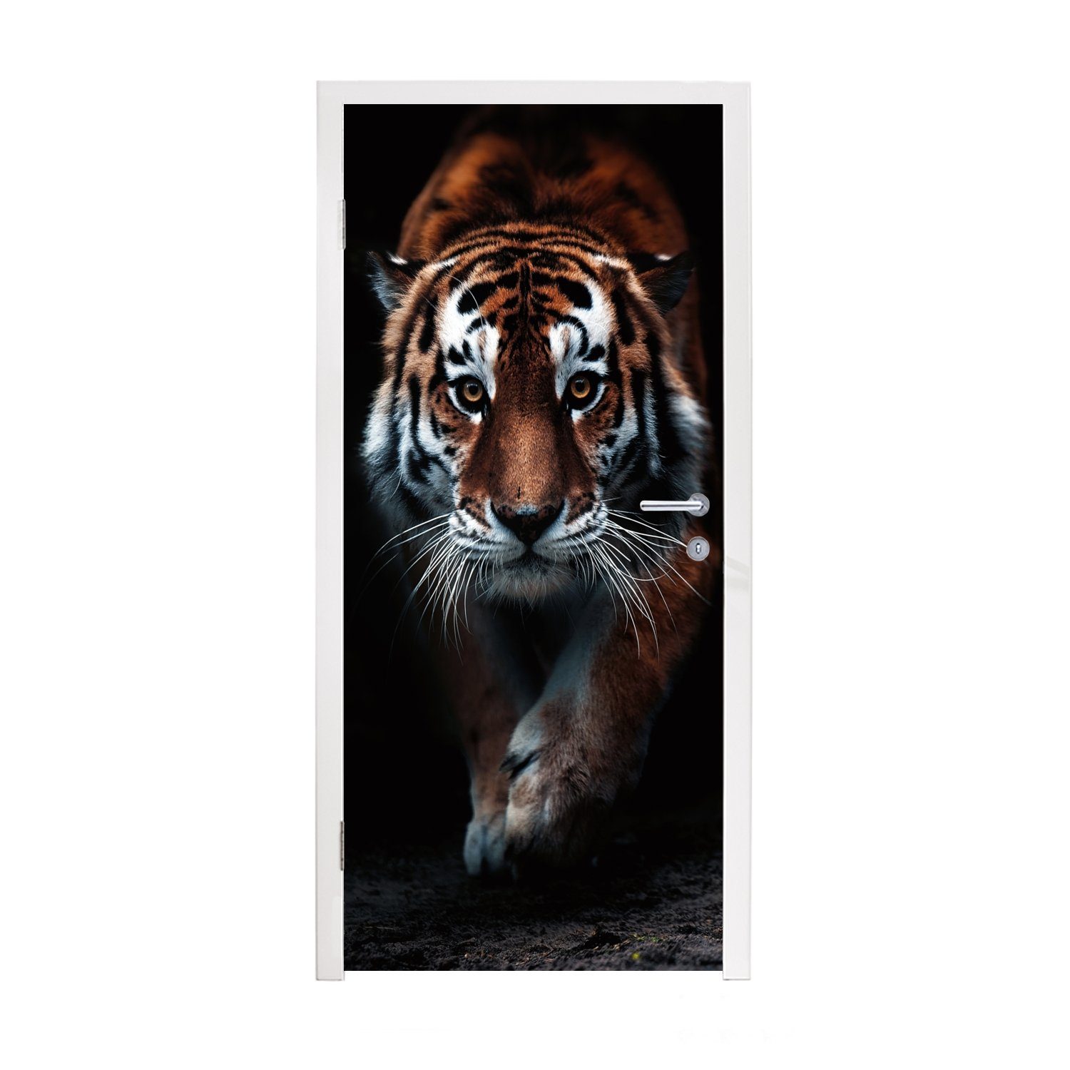 Tiere Tiger Tür, Türtapete Porträt, bedruckt, Wild - Türaufkleber, Fototapete - für MuchoWow - cm (1 Matt, - St), Schwarz 75x205