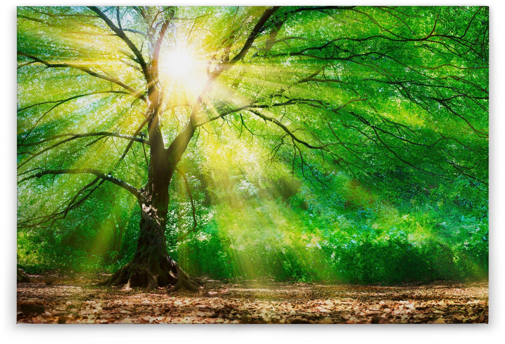 A.S. Création Leinwandbild Forest Light, Kinder, Kunst, Wald (1 St), Sonnenlicht Baumkrone Keilrahmen Natur Leinwand-Bild Wohnzimmer modern