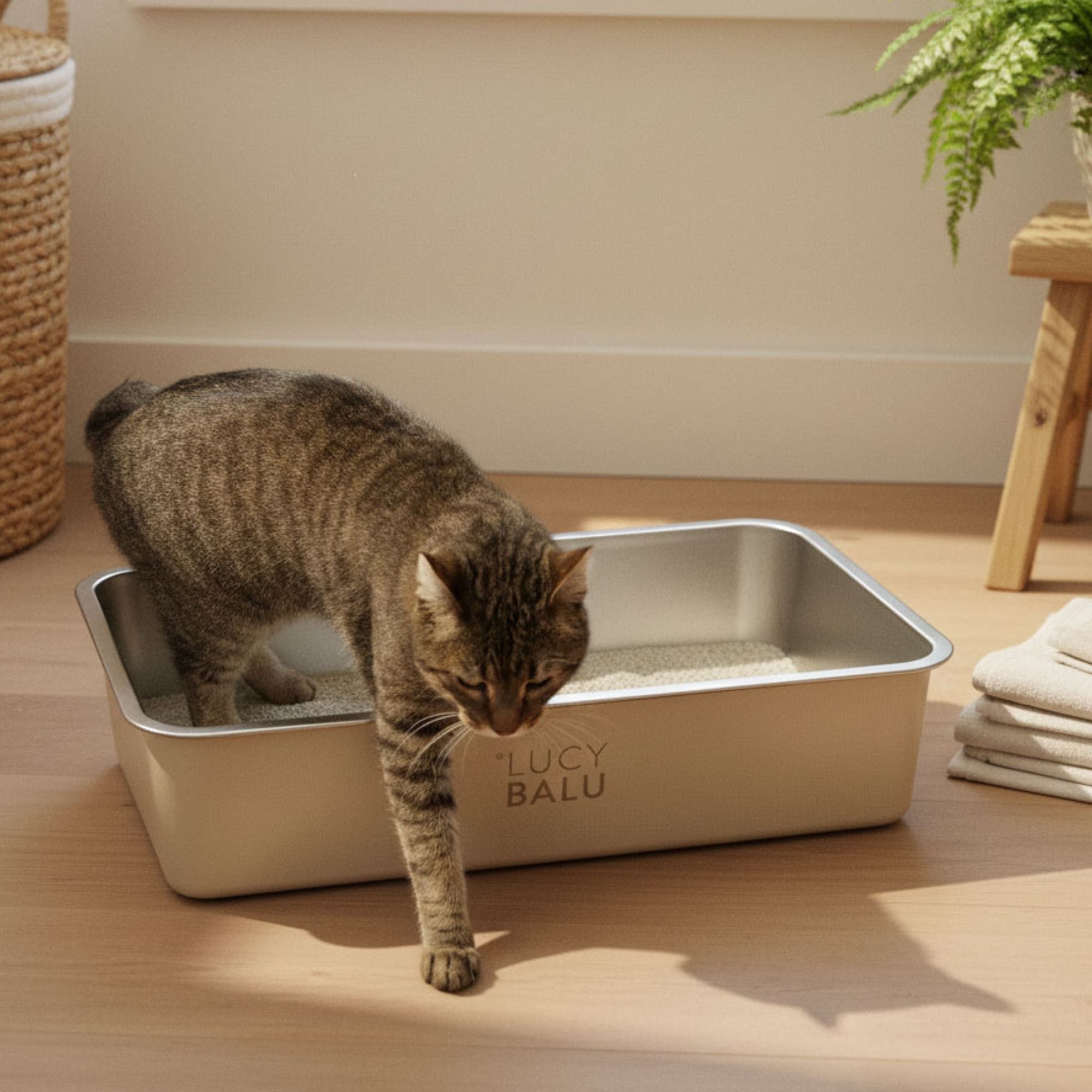 LucyBalu Katzentoilette STEELOO Edelstahl Katzenklo geruchsfrei, Katzentoilette aus Edelstahl
