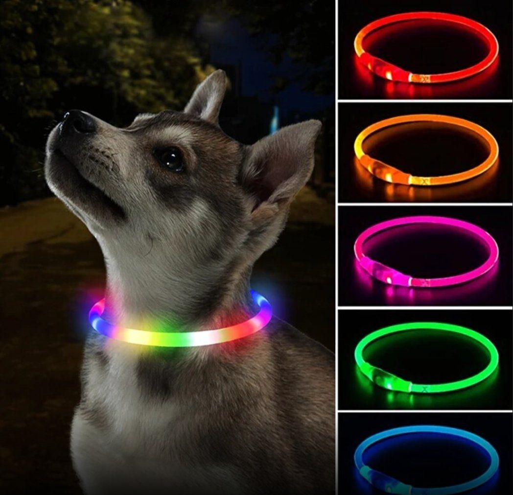 Haiaveng Hunde-Halsband Hundehalsband Leuchtend USB Aufladbar Wasserdichtes  LED Leuchthalsband, mit blinkendem Licht für Hunde, Katzen und Welpen