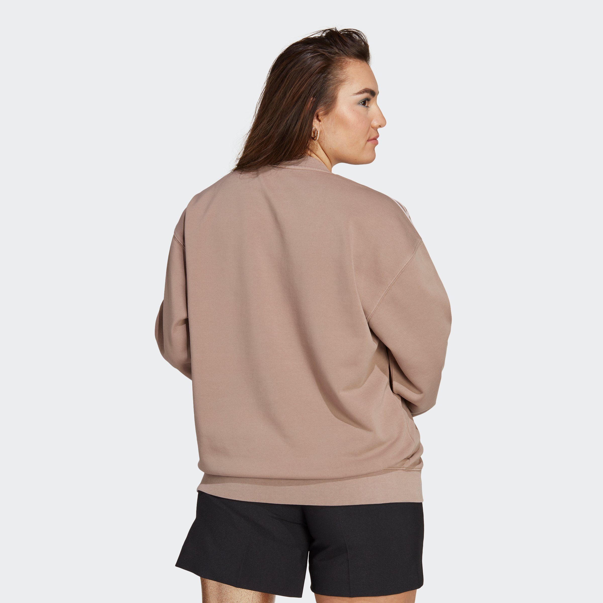 Brown adidas ORIGINALS Chalky Originals Kapuzensweatshirt
