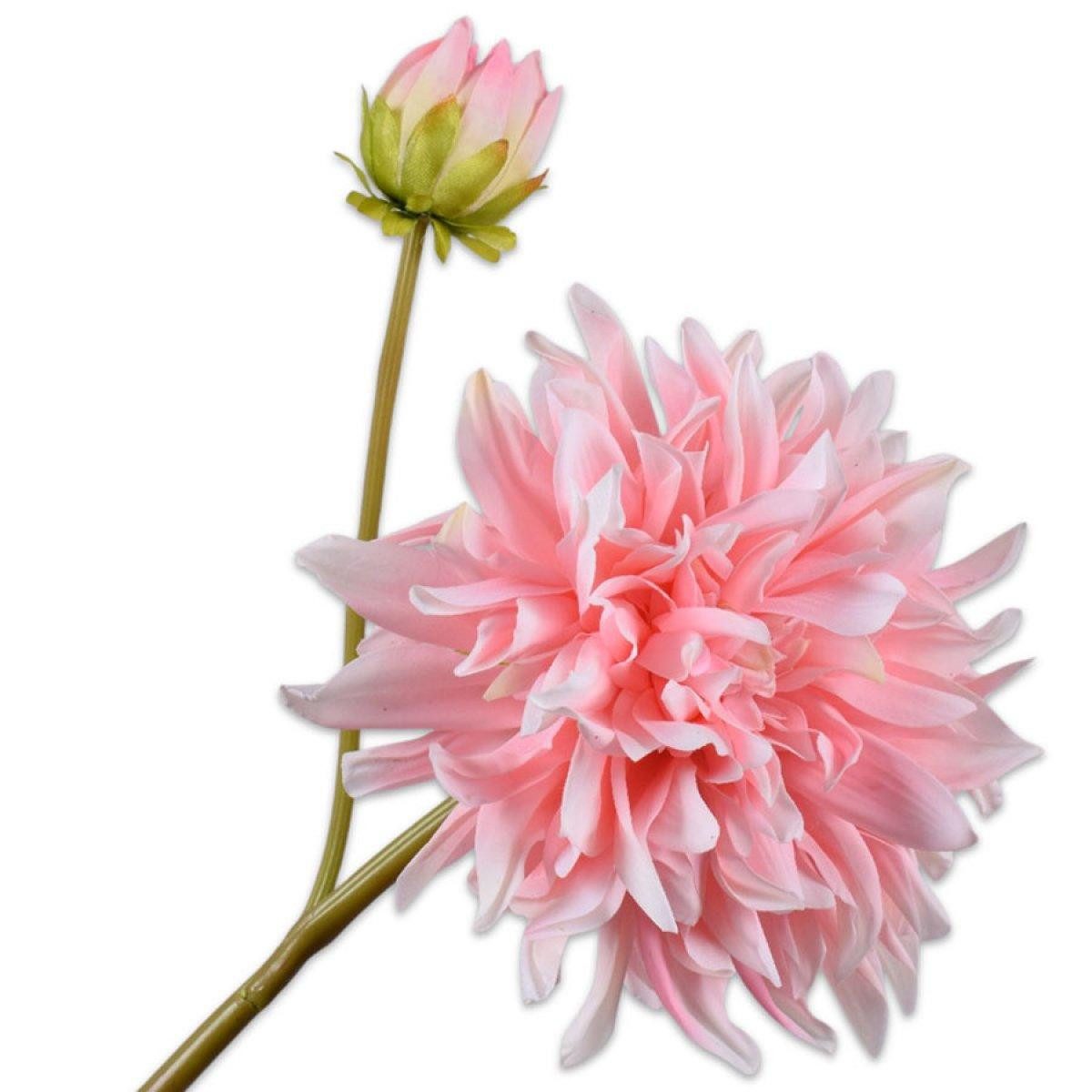 Künstliche Zimmerpflanze Seidenblume Dahlie Hellrosa (81cm), SILK-KA