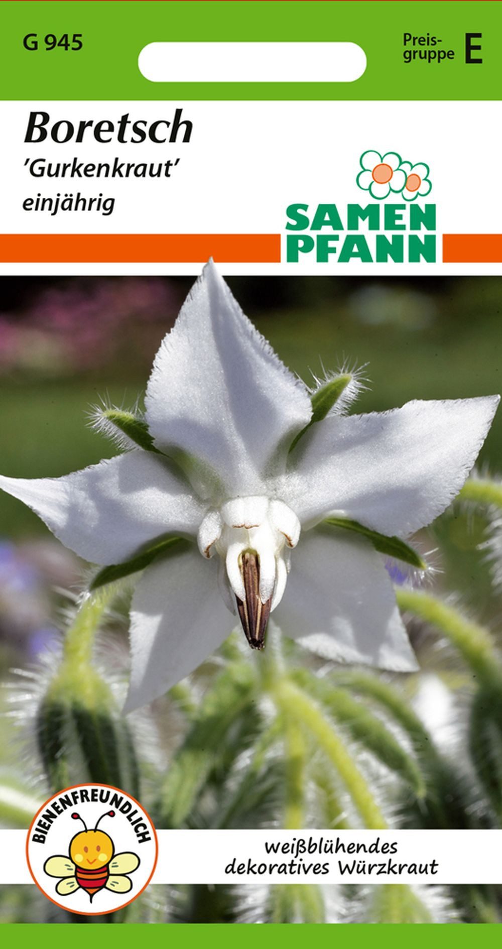 SAMEN PFANN Kräutersamen Borretsch, Gurkenkraut - Gewürz, Heilkraut, Kräuter-Samen Gewürz, Borago officinalis