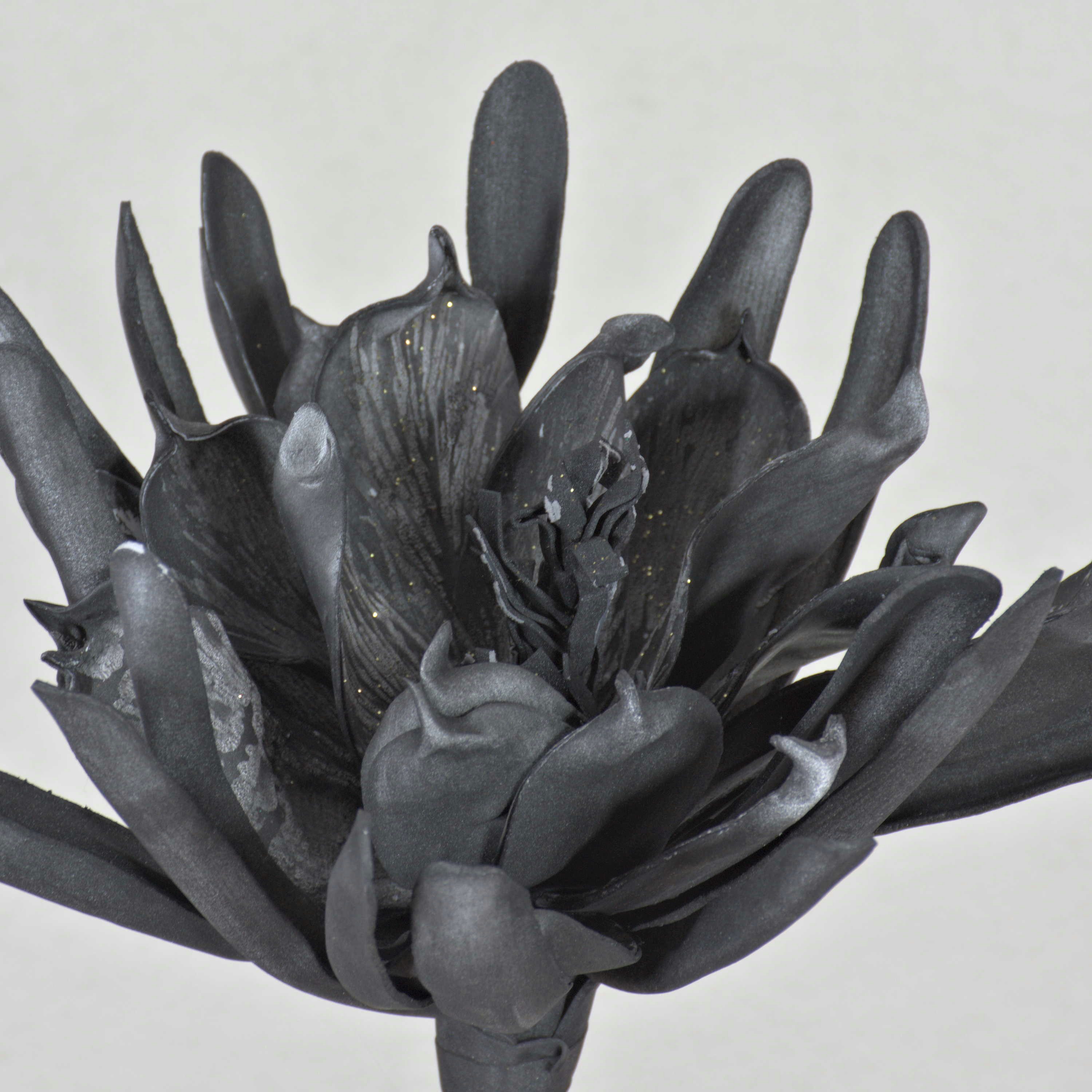 Kunstblume Deko Blüte Kaktus Königin der Nacht MOADI mit Glitzer, schwarz, 90cm Königin der Nacht Kaktus, artplants, Höhe 90.0 cm