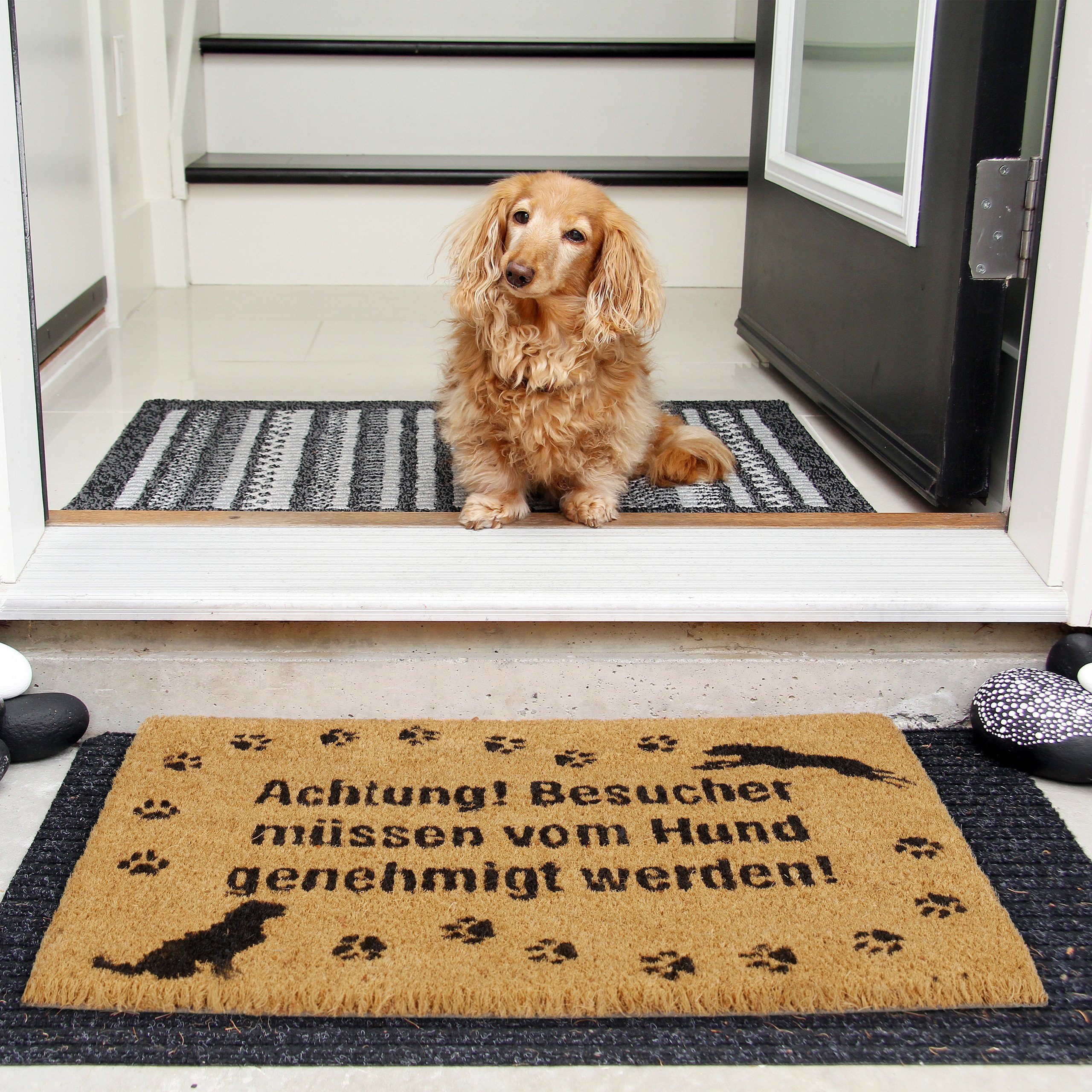 relaxdays Fußmatte Kokos Hund, Höhe: 15 günstig online kaufen