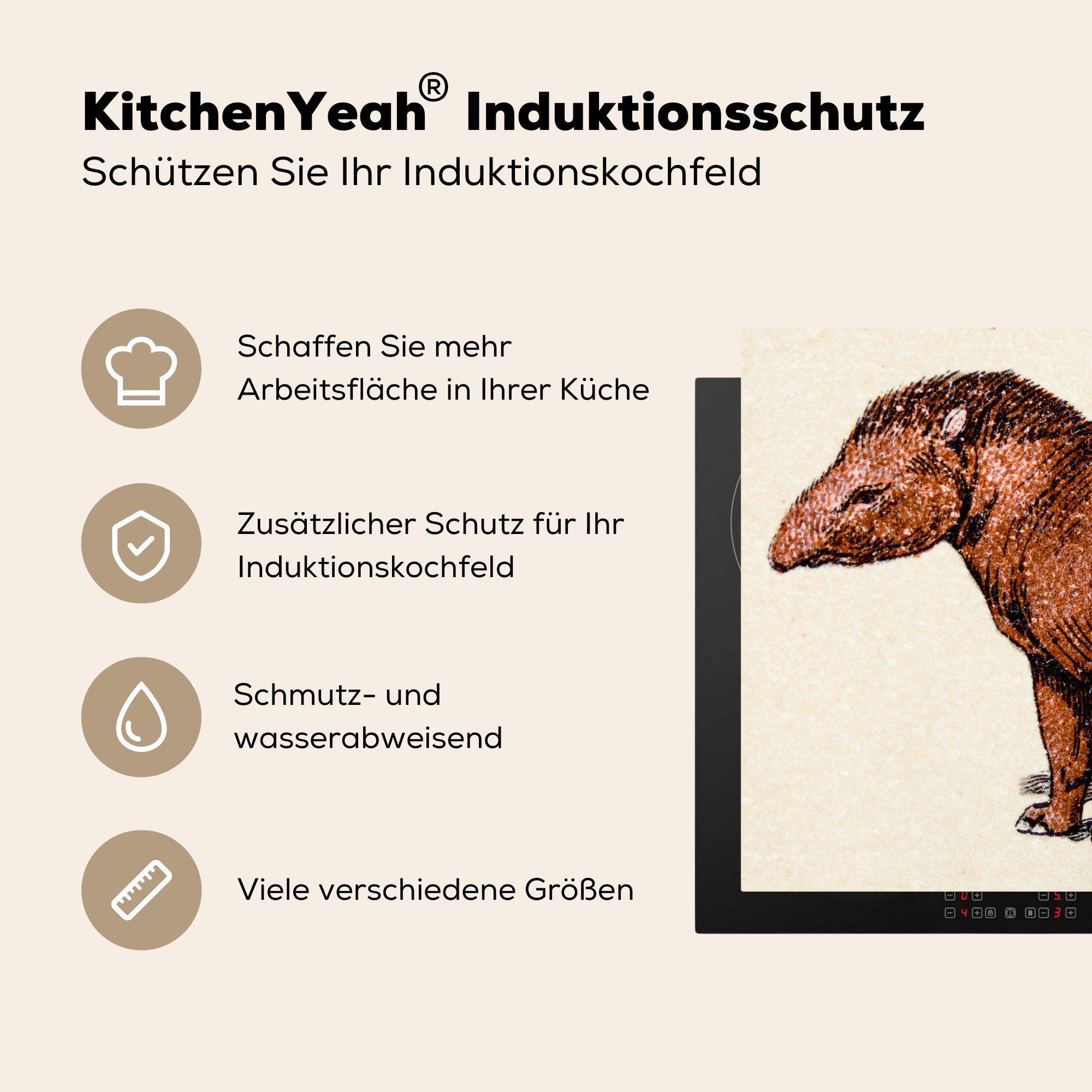 cm, Mobile (1 70x52 Ceranfeldabdeckung Arbeitsfläche Herdblende-/Abdeckplatte tlg), braunen nutzbar, Tapirs, MuchoWow Vinyl, eines Illustration