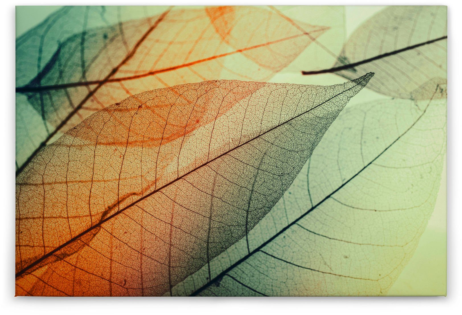A.S. Moderne Limpid Leaf, St), orange Bunt grün, (1 Création Leinwandbild Blätter Keilrahmen Natur