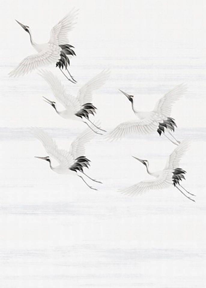 Art for the home Fototapete Kran, glatt, animal print, Kran Vögel280x200 cmBlumen / Tieren Weiß. € 125,00, (€ 23,58 pro 1 qm).