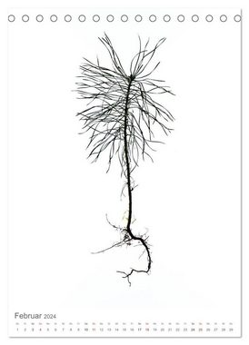 CALVENDO Wandkalender Junge Bäume (Tischkalender 2024 DIN A5 hoch), CALVENDO Monatskalender