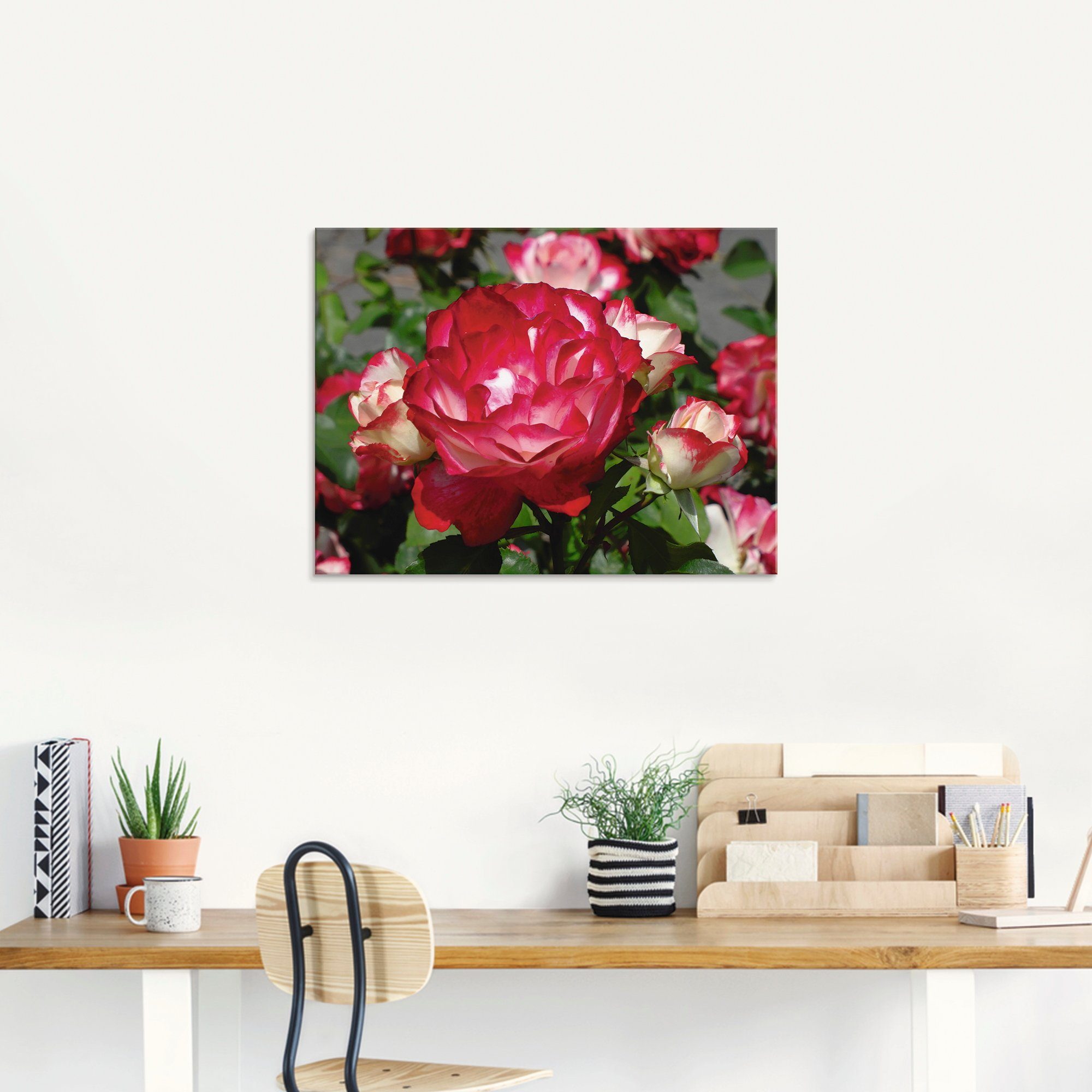 Artland Glasbild Rot (1 St), verschiedenen in Größen Rosenblüte, weiße Blumen