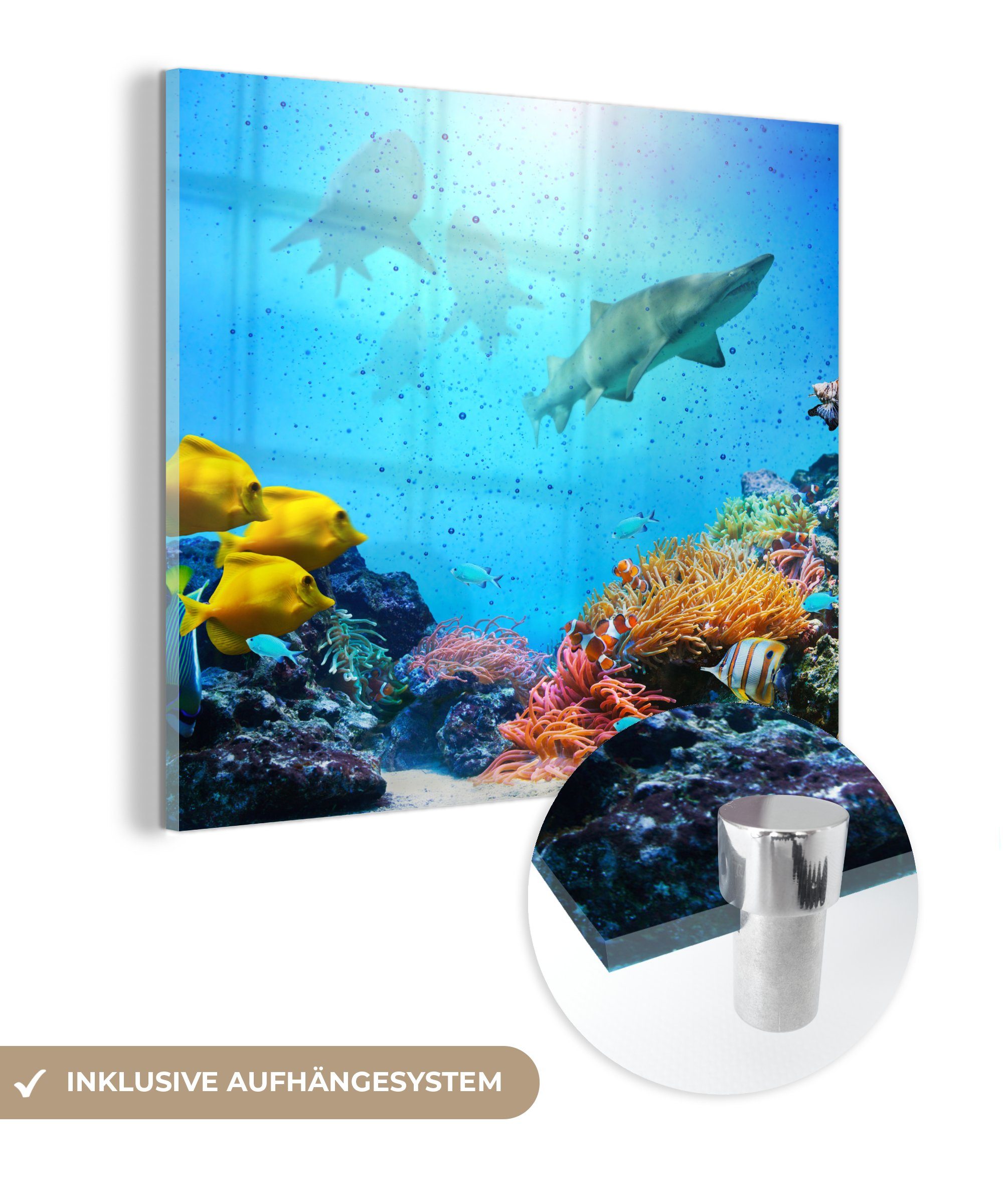 MuchoWow Acrylglasbild Meer - Fische - Farben, (1 St), Glasbilder - Bilder auf Glas Wandbild - Foto auf Glas - Wanddekoration