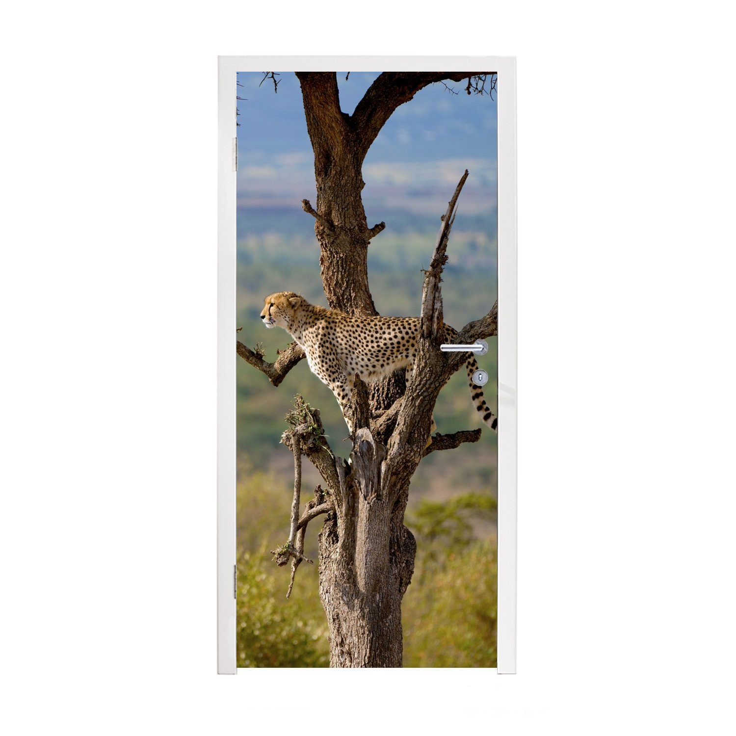 Leopard MuchoWow für - cm St), bedruckt, Tür, Türaufkleber, (1 75x205 Baum Türtapete Matt, Fototapete - Tier,
