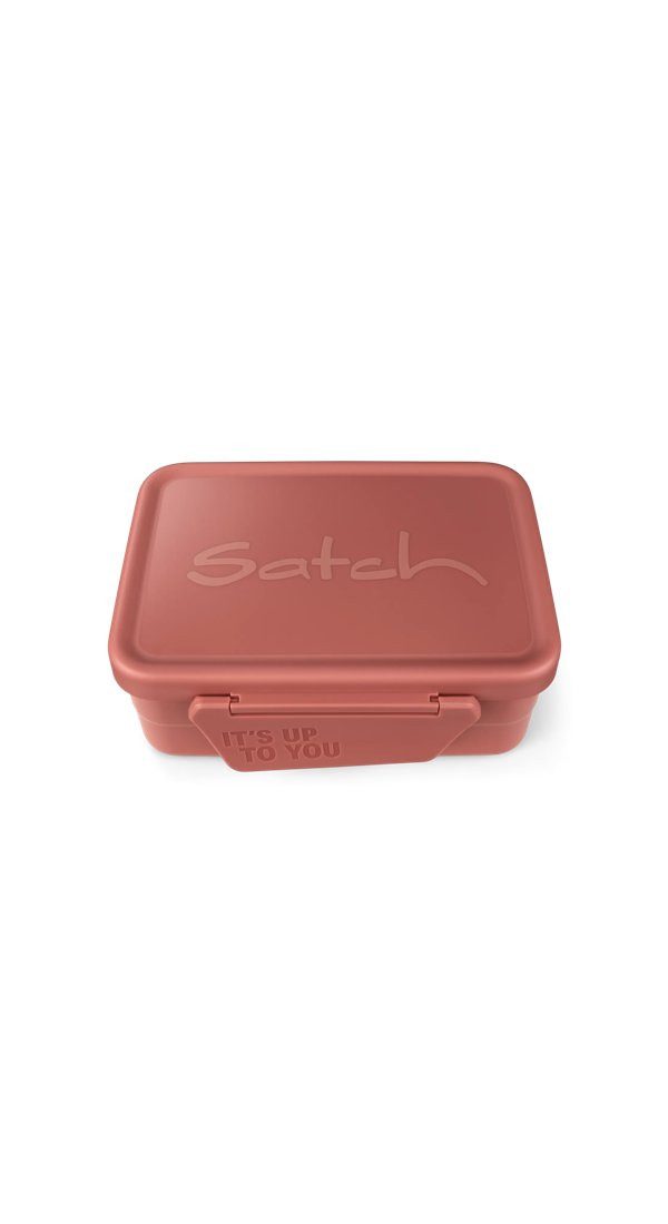 Satch Lunchbox Edelstahl Brotdose, Edelstahl, (Edelstahl Brotdose, 3-tlg., 1x Brotdose, 1x Trennfach), spülmaschinengeeignet bis 45 Grad, Handwäsche empfohlen