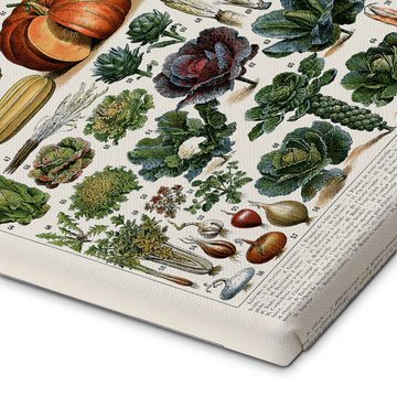 Posterlounge Leinwandbild Adolphe Millot, Gemüse und Hülsenfrüchte (französisch), Klassenzimmer Vintage Illustration