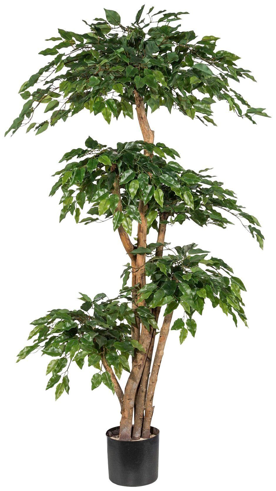 green, cm Ficus Benjamini, Höhe Creativ 170 Kunstpflanze