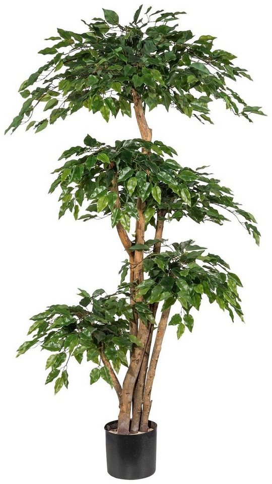 Kunstpflanze Ficus Benjamini, Creativ green, Höhe 170 cm