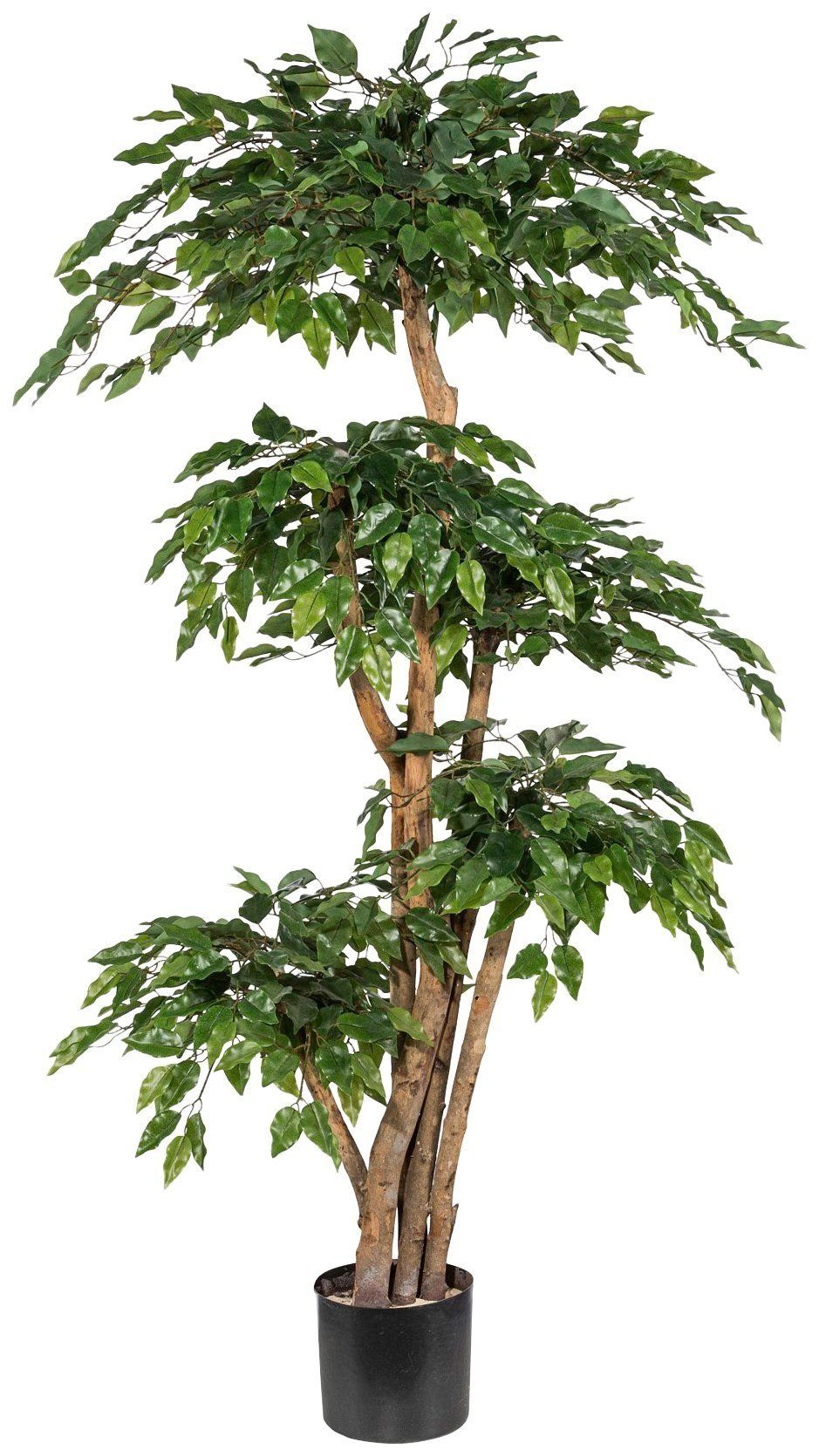 Kunstpflanze »Ficus Benjamini« Kunstbaum, Creativ green, Höhe 170 cm