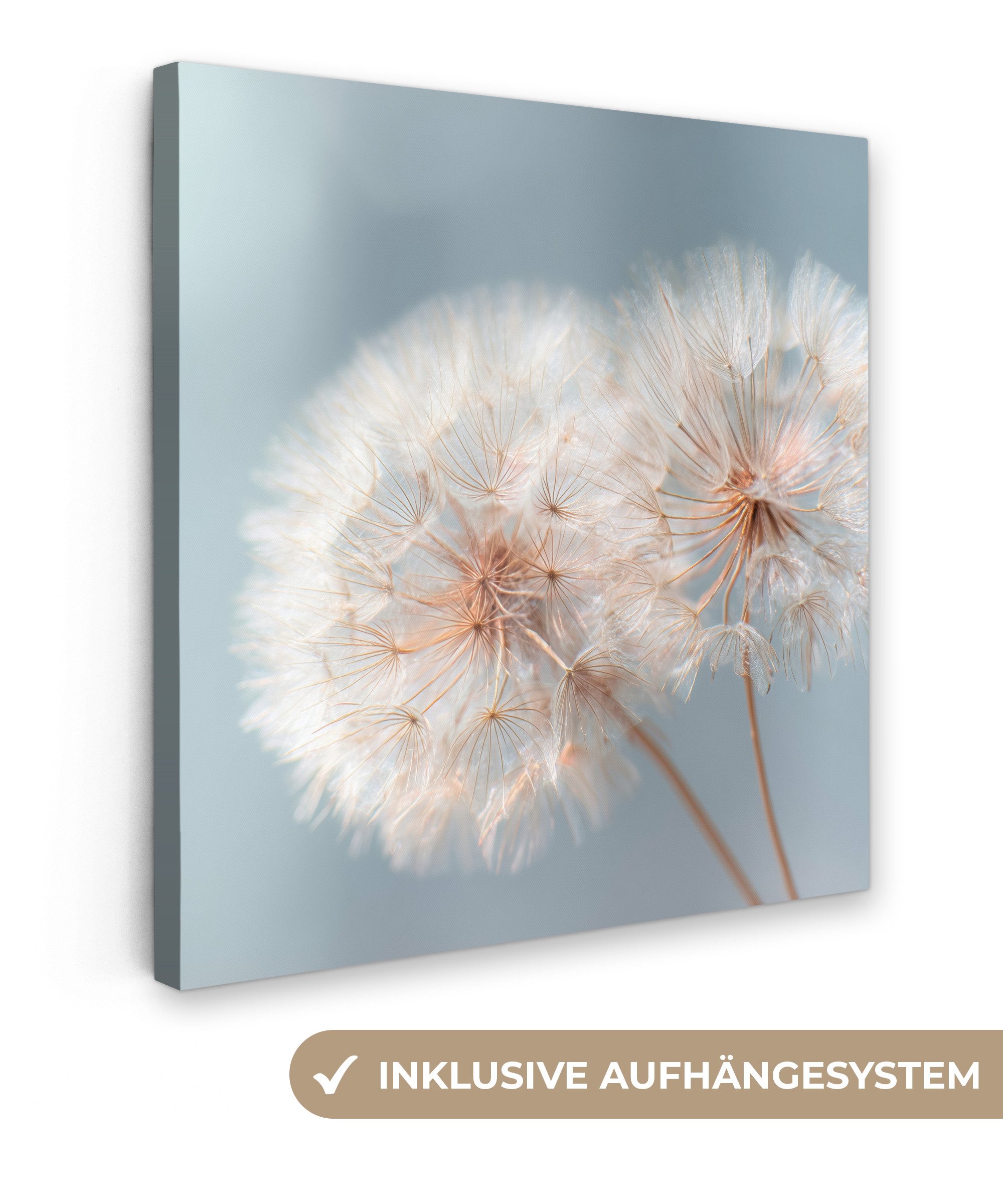 OneMillionCanvasses® Leinwandbild Pusteblumen - Flauschig - Weiß, Fotodruck (1 St), Wandbild, Deko Schlafzimmer Wohnzimmer Flur 20x20 cm