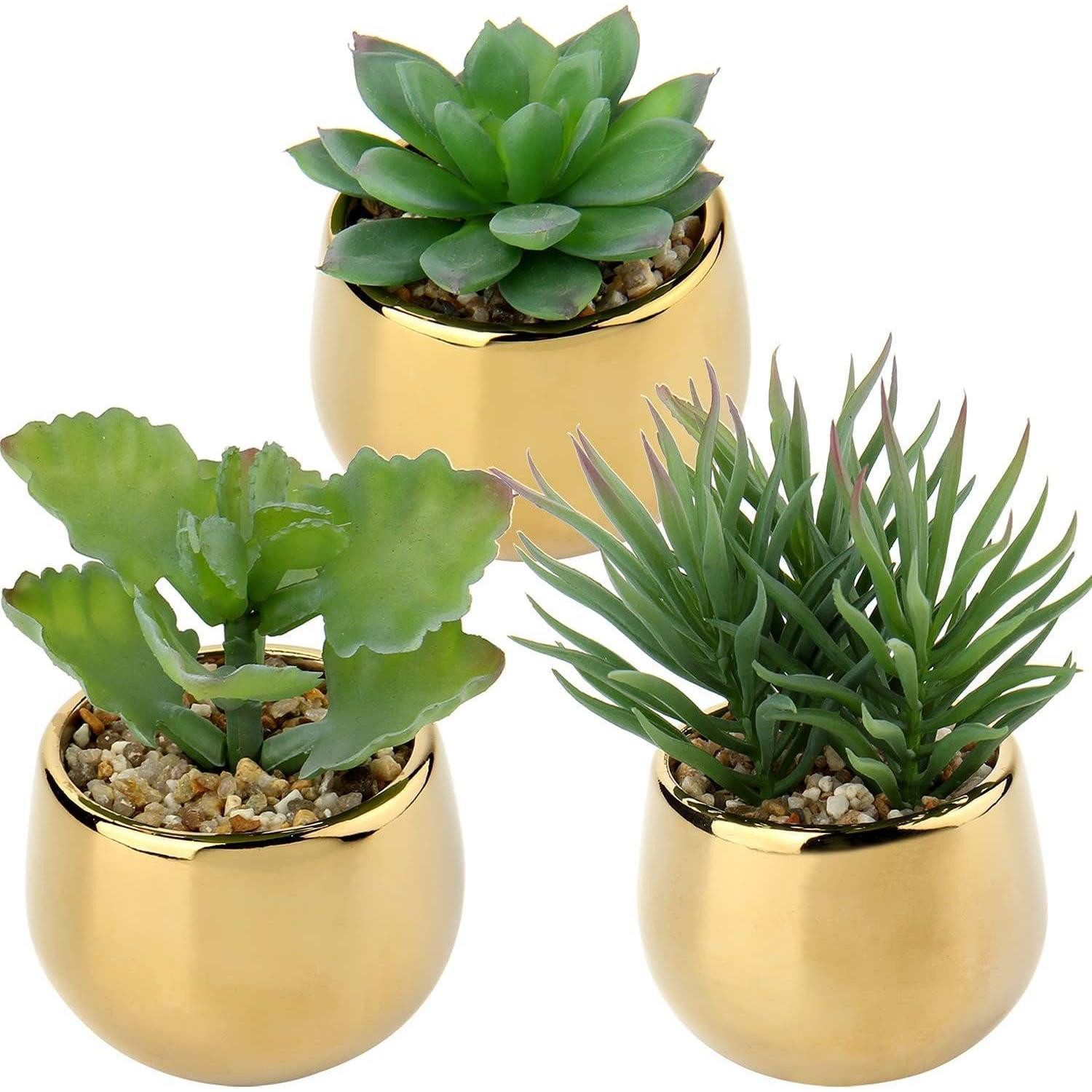 Künstliche Zimmerpflanze Kunstpflanze Sukkulenten 3 PCS Keramiktopf Deko Balkon Gold Type-#2, LuxusKollektion