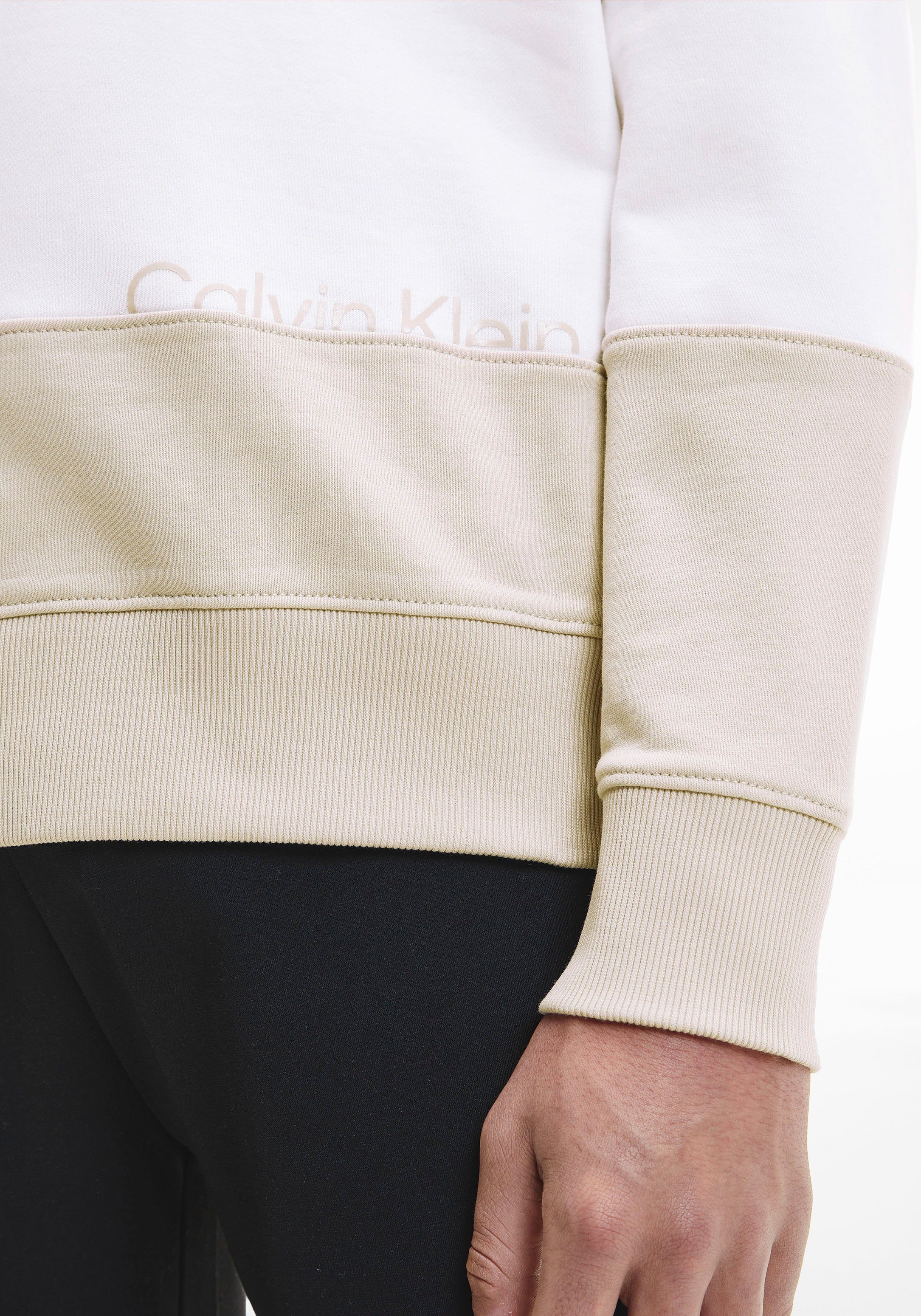 Herren Pullover Calvin Klein Kapuzensweatshirt COLOR BLOCKING LOGO
