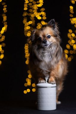 Qchefs Futterbehälter Glückskiste Dose Hund Geschenk für Hunde Besitzer mit Natur Zahnpflege, Edelstahl- recycelbar- lebensmittelecht 23 x 15 cm