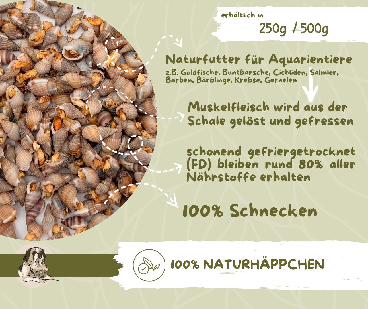 Warnick´s Tierfutterservice Schnecken gefriergetrocknet im Eimer für Zierfische, Garnelen & Krebse, Ergänzungsfutter für: Zierfische, Krebse, Garnelen