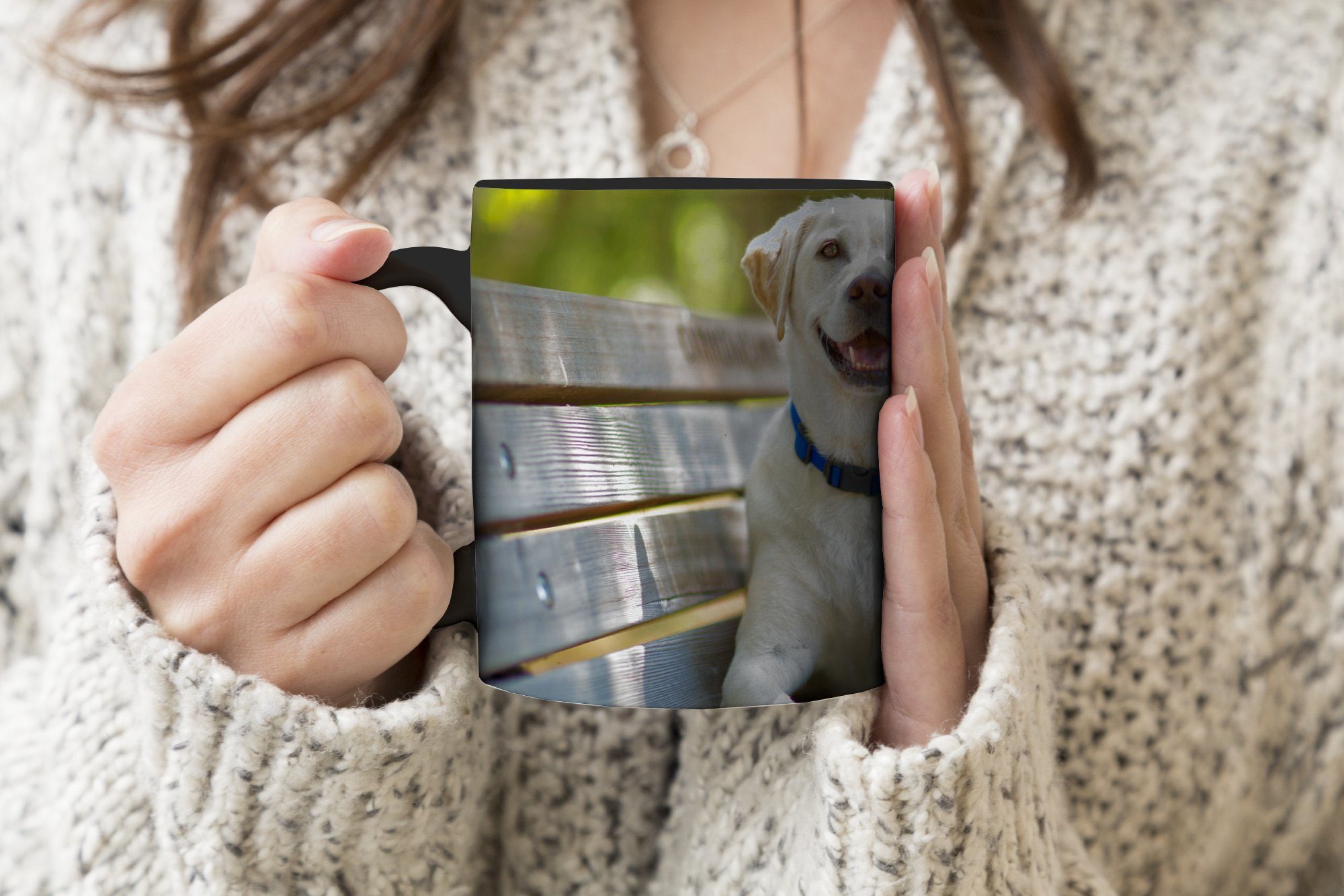 Tasse Kaffeetassen, Bank, einer MuchoWow Zaubertasse, Farbwechsel, Keramik, auf Geschenk Retriever Teetasse, Labrador